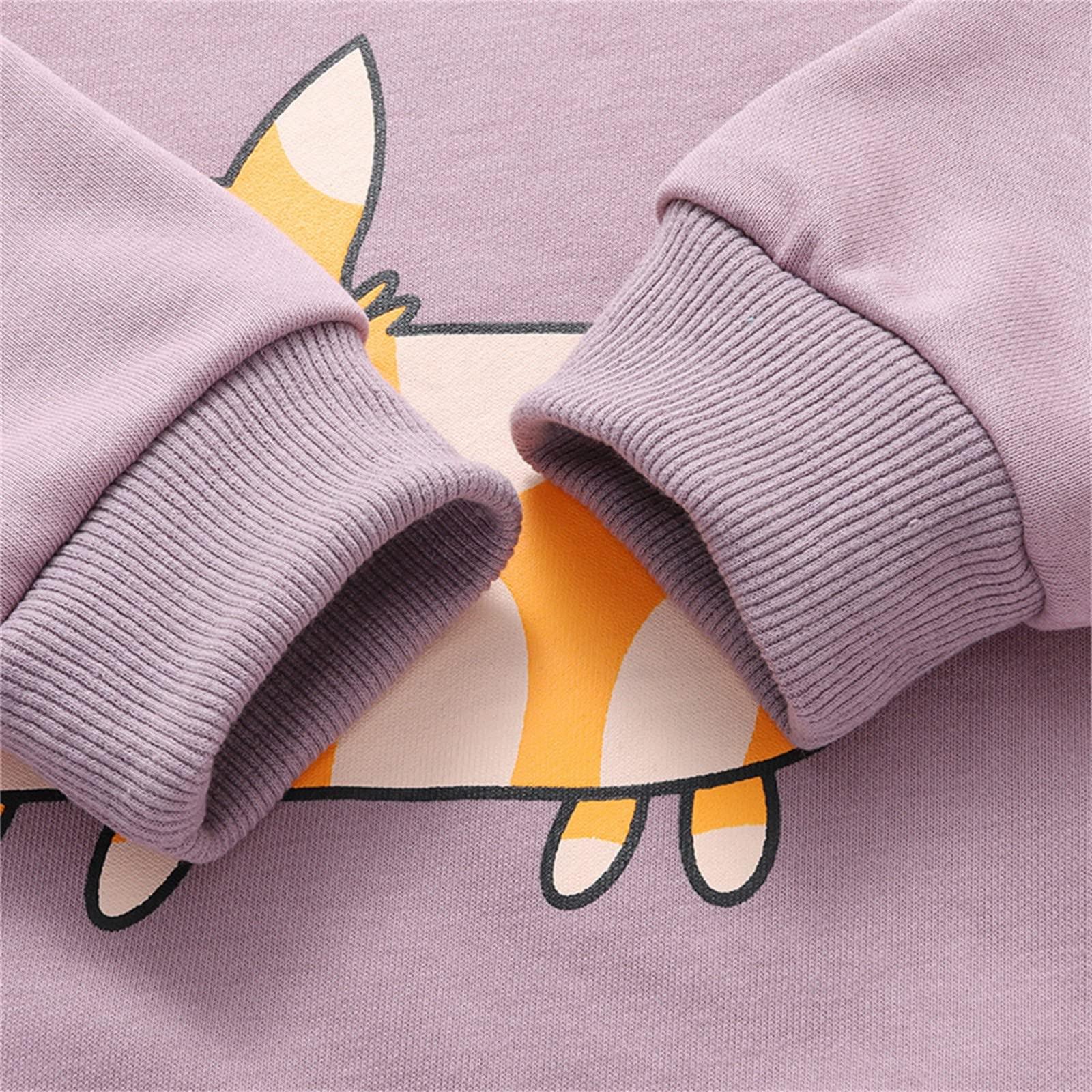 Generic Dinosaur Costume for Kids Toddler Baby Boys Girls Long Sleeve Cute Cartoon Animals Sweatshirt (Purple, 2-3 Years)