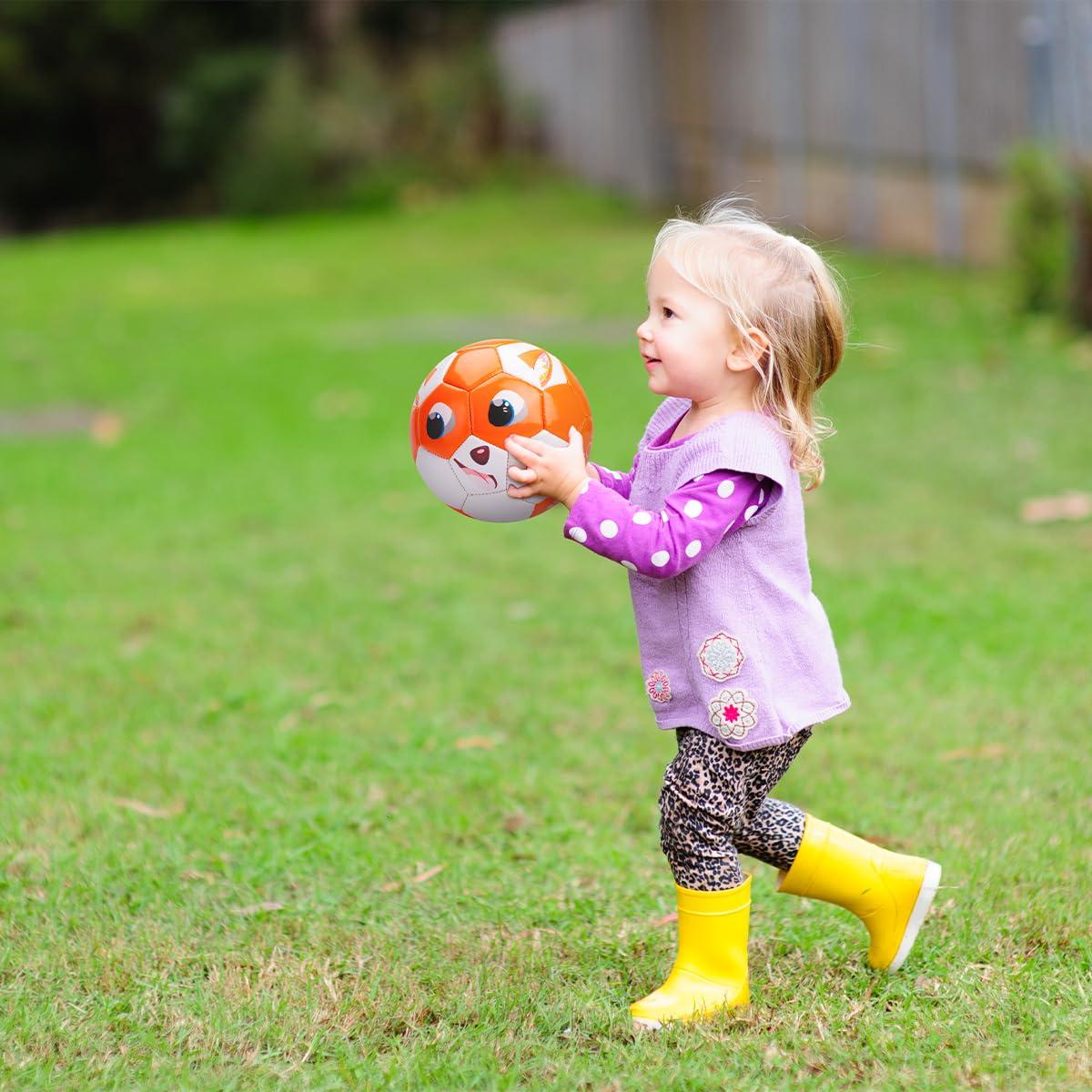 INPODAK INPODAK 2 Pack Toddler Soccer Ball Size 2 Cartoon Balls for Kids 2 3 4 5 6 with Pump, Mesh Bag and Gift Box for Birthdays, Christmas, and Parties