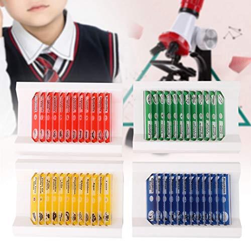 Oreilet Biological Prepared Slide, 4 Colors Professional 48pcs Specimens Slide, Microscope Slide, Gift for Kids School Including Animals, Insects Uniform