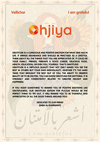 HPI Racing HPI Racing 160323 Baja 5B Gas SBK Kit (No Engine)