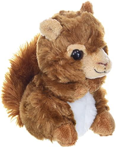 Wild store republic squirrel