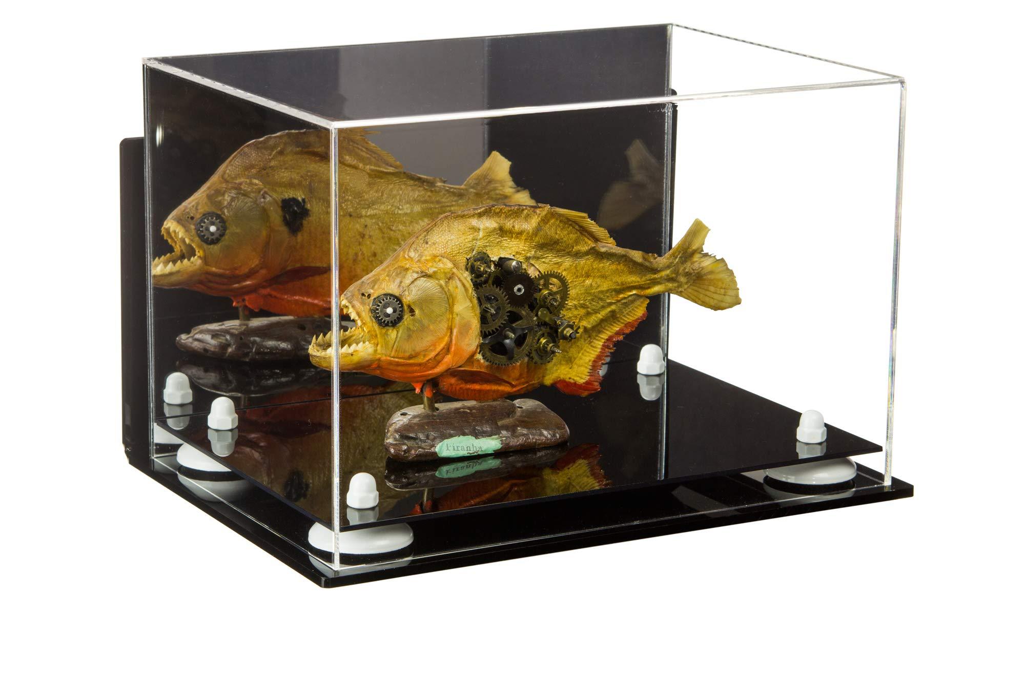 Better Display Cases Better Display Cases Versatile Acrylic Display Case - Medium Rectangle Box with Mirror, Wall Mount and White Risers 12" x 8.25" x 8" (A004-WR)