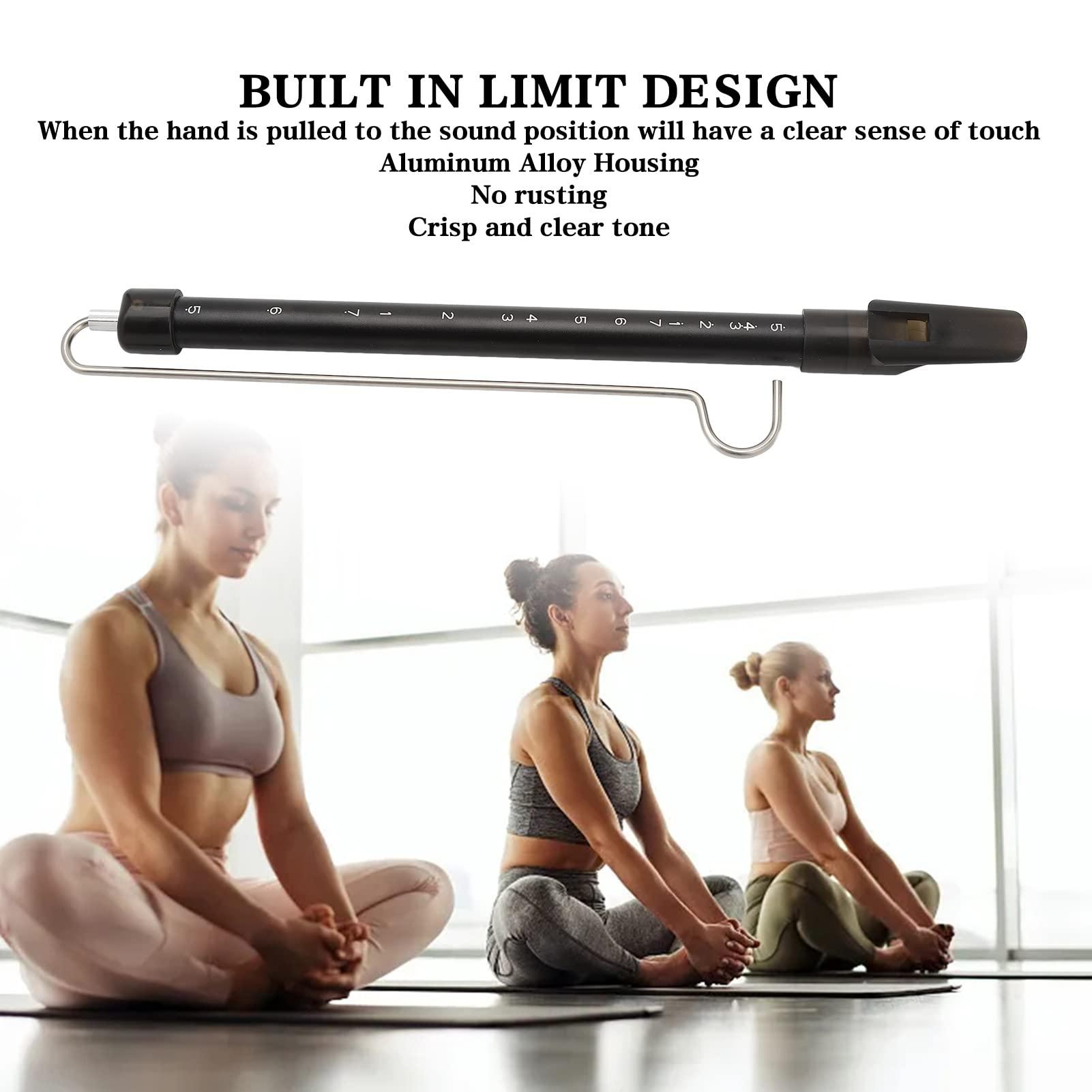 Dioche Slide Whistle Instrument, ParentChild Games Lightweight Whistle Sliding Home Toy for Adults