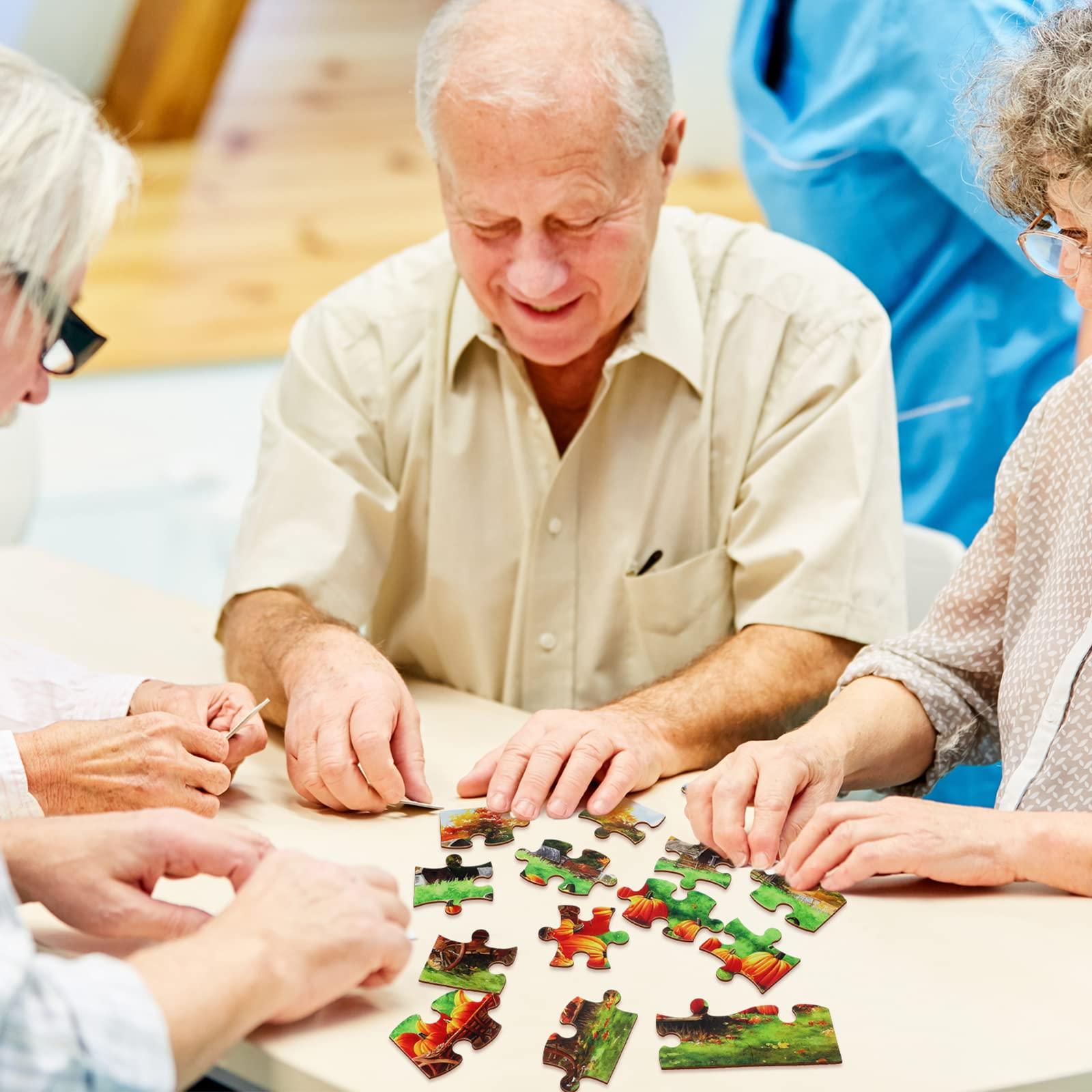 Liliful Liliful 6 Pack 16 Pcs Large Puzzles for Seniors Wooden Dementia Puzzles Alzheimer Puzzles Easy Puzzle for Elderly 12.6 x 9.45 Inch Jigsaw Puzzle for Adults Alzheimer\'s Products Activities