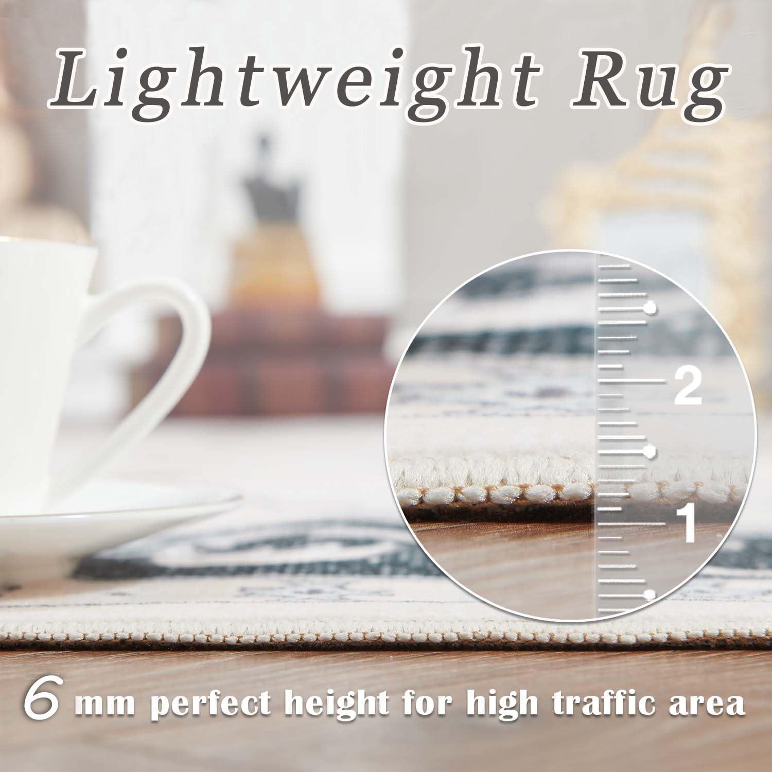 CWALIW Bohemian Morocco Area Rug for Bedroom,Brown Non Slip Machine Wash Area Rug, Affordable Carpet for Living Room, Nursery, Children's Room, Baby's Room (3'X4')