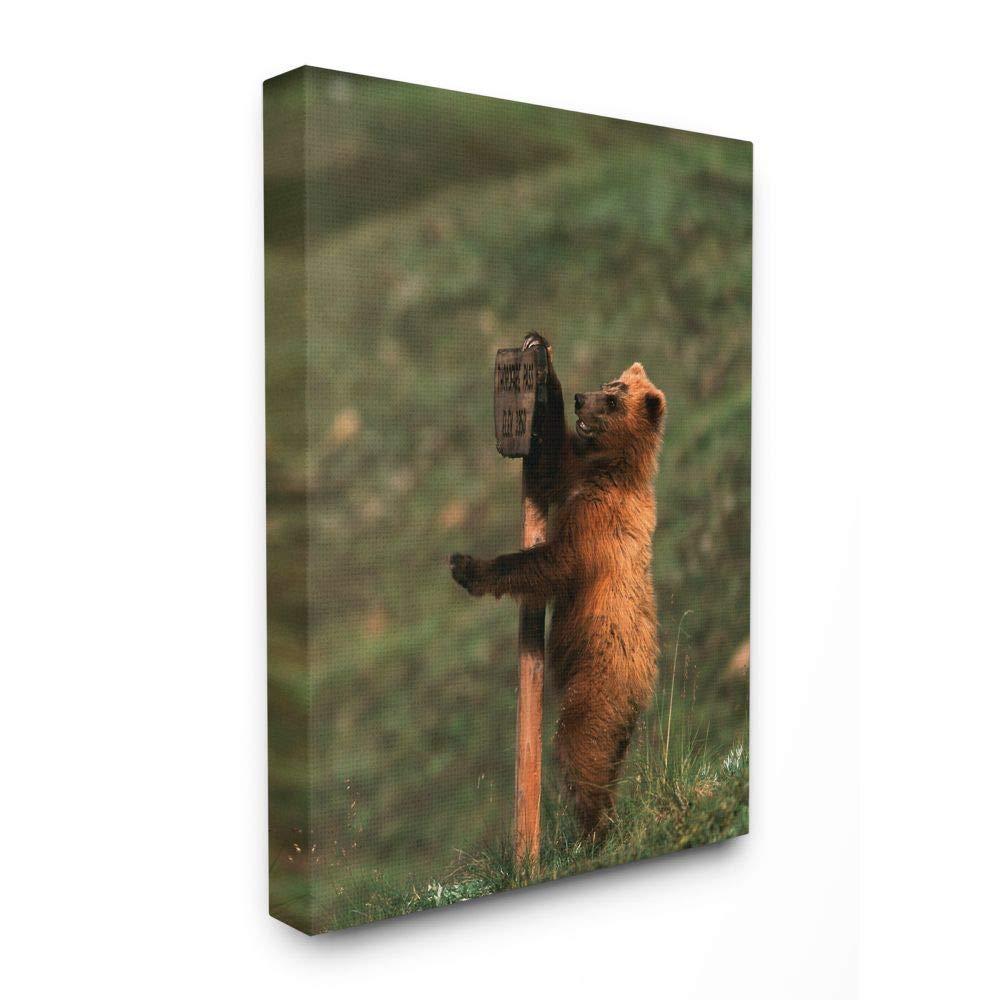 Stupell Industries Stupell Industries Grizzly Bear Cub Scratching Park Sign Canvas Wall Art, 36 x 48, Multi-Color