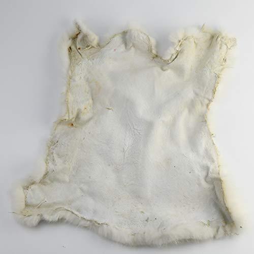 TG,LLC Treasure Gurus Real White Rabbit Skin Fur Pelt Genuine Tanned Taxidermy Hide Craft Accessory