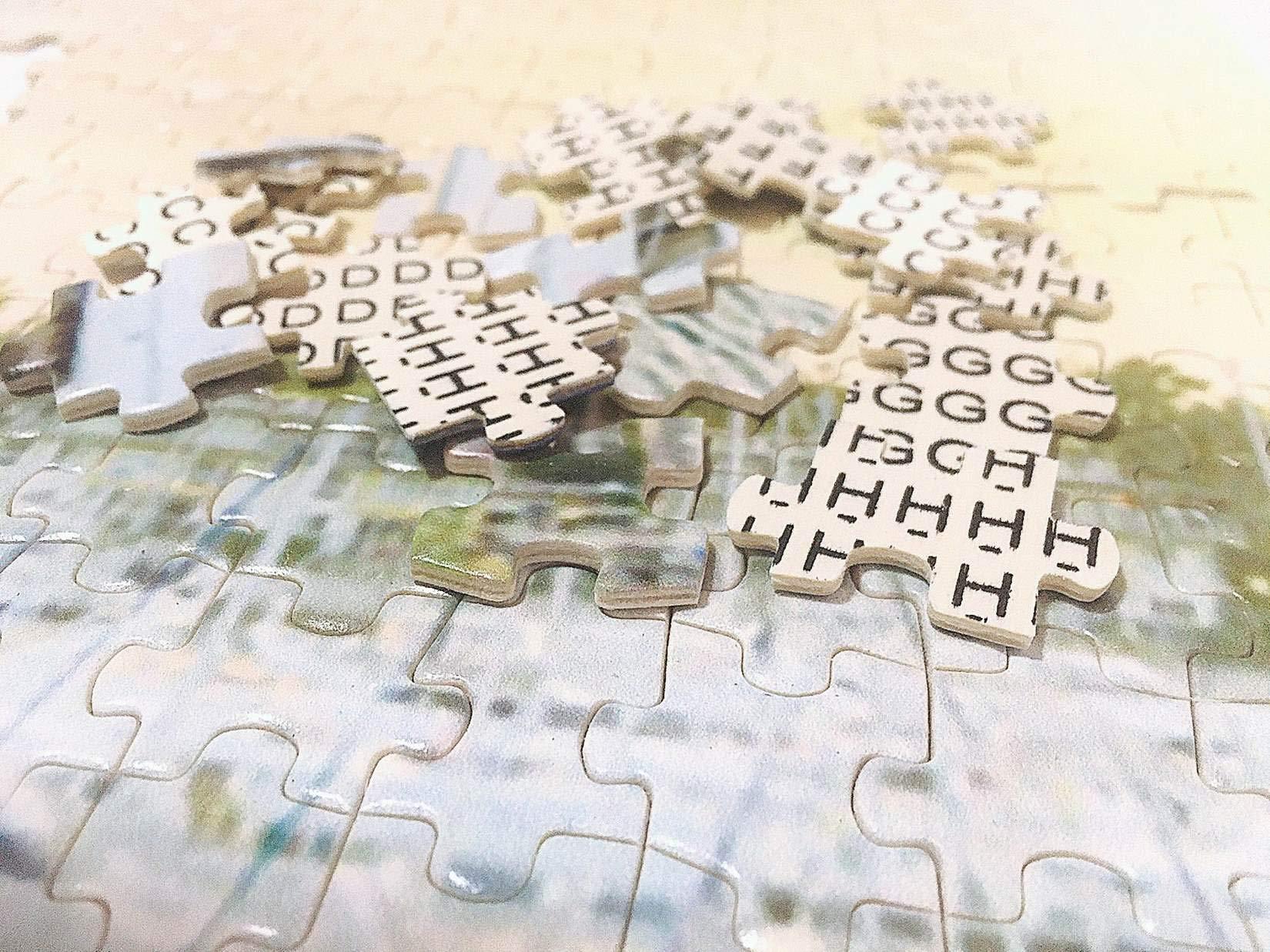 Generic Dwight Williams American St Gauden\'S Glen Ohio Jigsaw Puzzle Adult Wooden Toy 1000 Piece