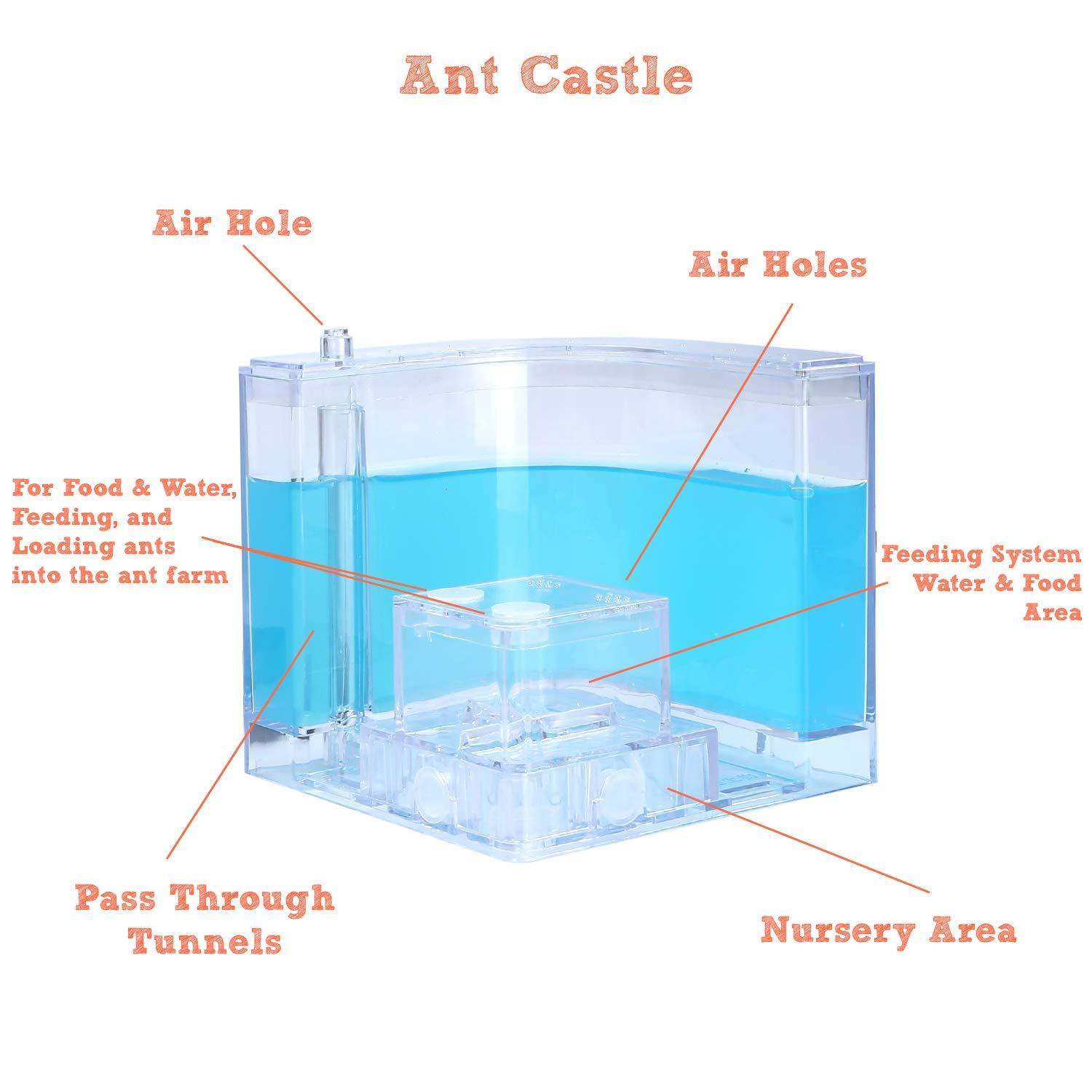 NAVADEAL NAVADEAL Ant Farm Castle Experiment and Toy Allows Study of Social Structure, Architecture, Ecosystem, and The Behavior of Ants Within The 3D Maze of Translucent Gel