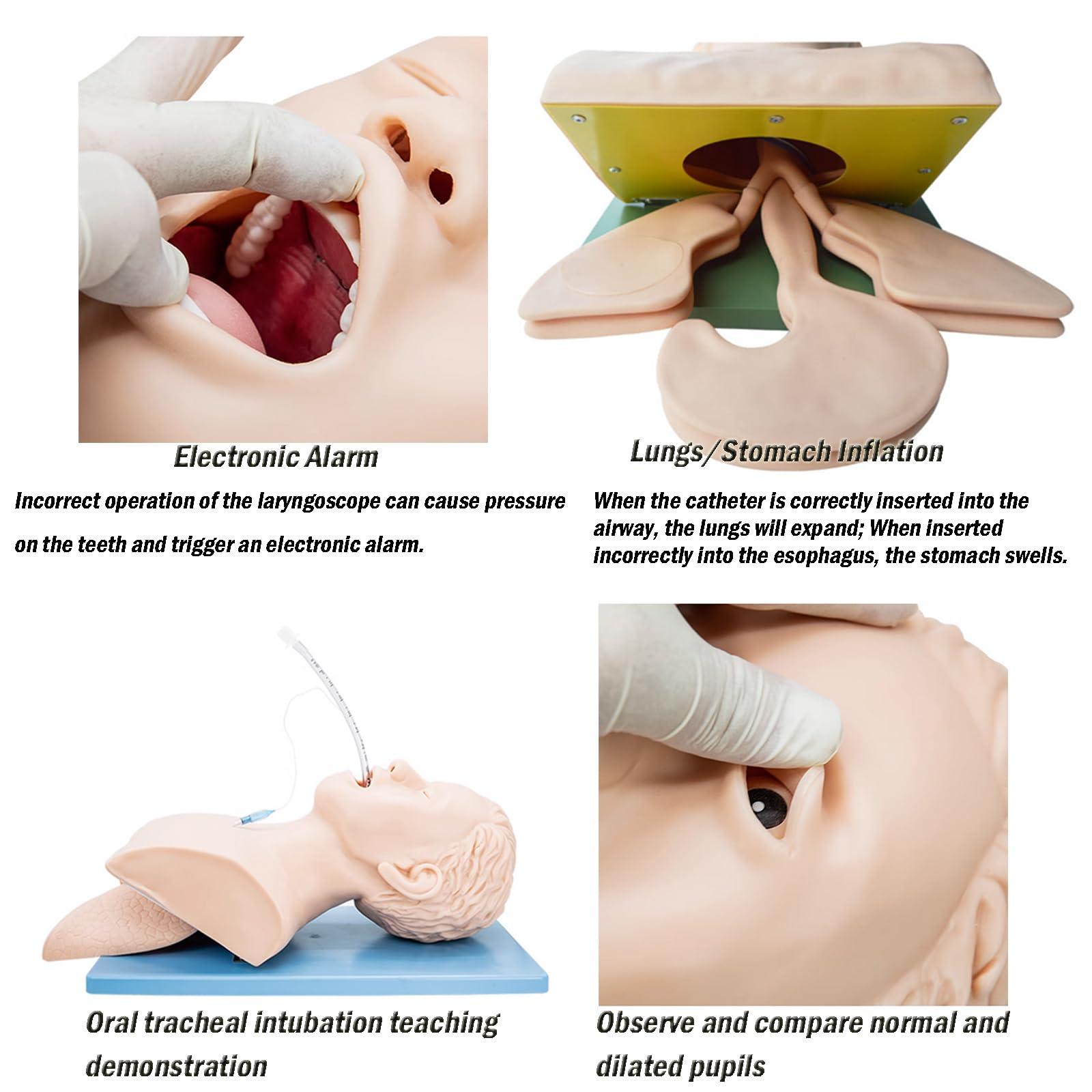 INTBUYING INTBUYING Electron Intubation Model Adult 110V-220V Airway Management Trainer with Alarm Function Intubation Practice Mannequin