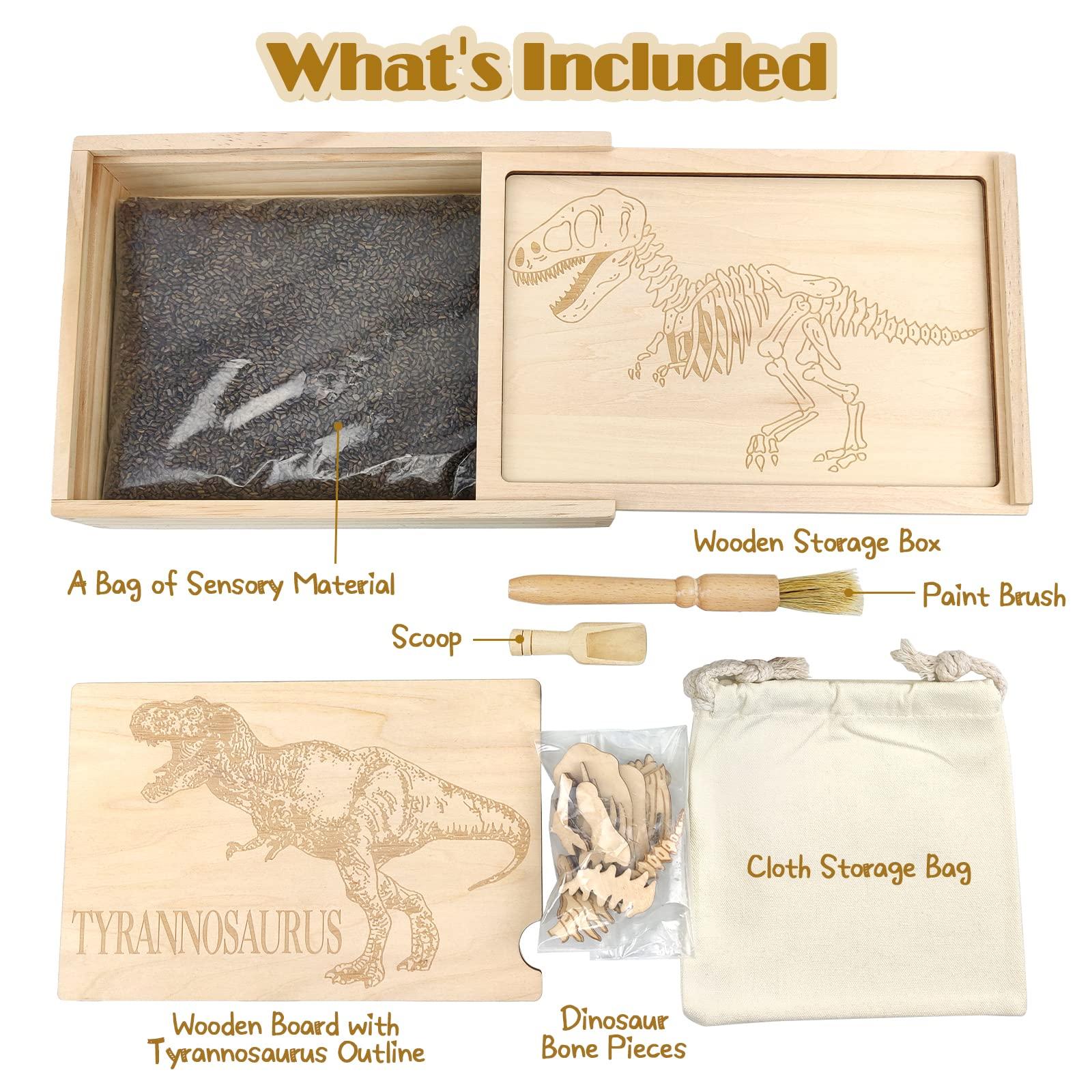 Xylolin Xylolin Dinosaur Excavation Archaeology Dig Kit for Kids, Fossil Explore Sensory Bin Toys, Dino Skeletons Bones Puzzle Game, Archaeology Science STEM Toys for Boys and Girls (Tyrannosaurus)