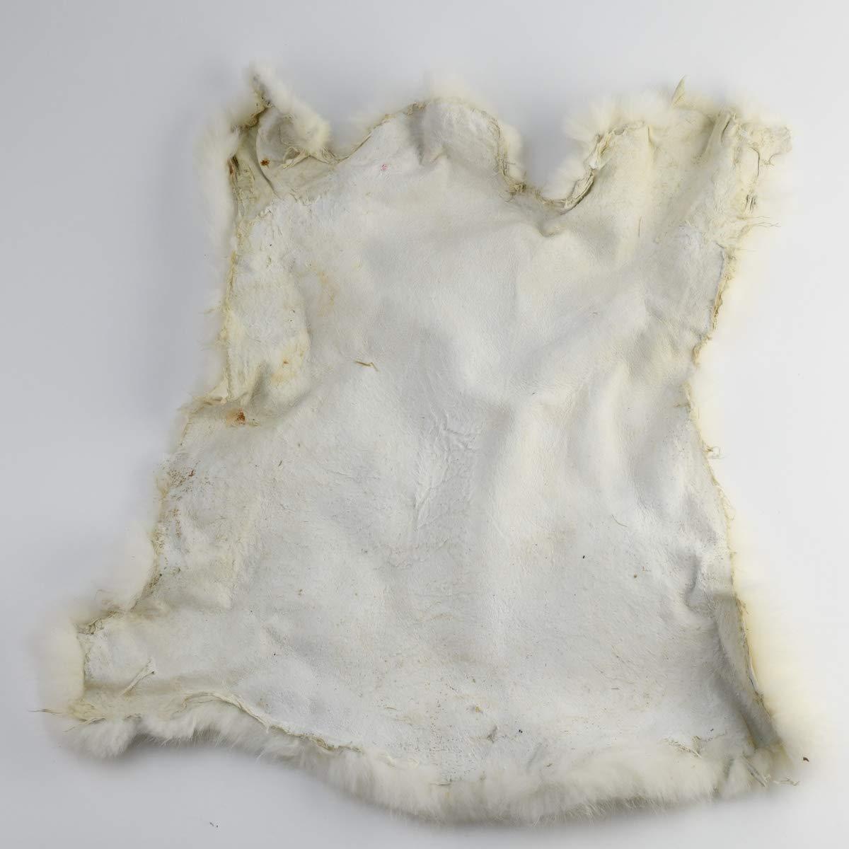 TG,LLC Treasure Gurus Real White Rabbit Skin Fur Pelt Genuine Tanned Taxidermy Hide Craft Accessory