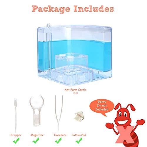 NAVADEAL NAVADEAL Ant Farm Castle Experiment and Toy Allows Study of Social Structure, Architecture, Ecosystem, and The Behavior of Ants Within The 3D Maze of Translucent Gel