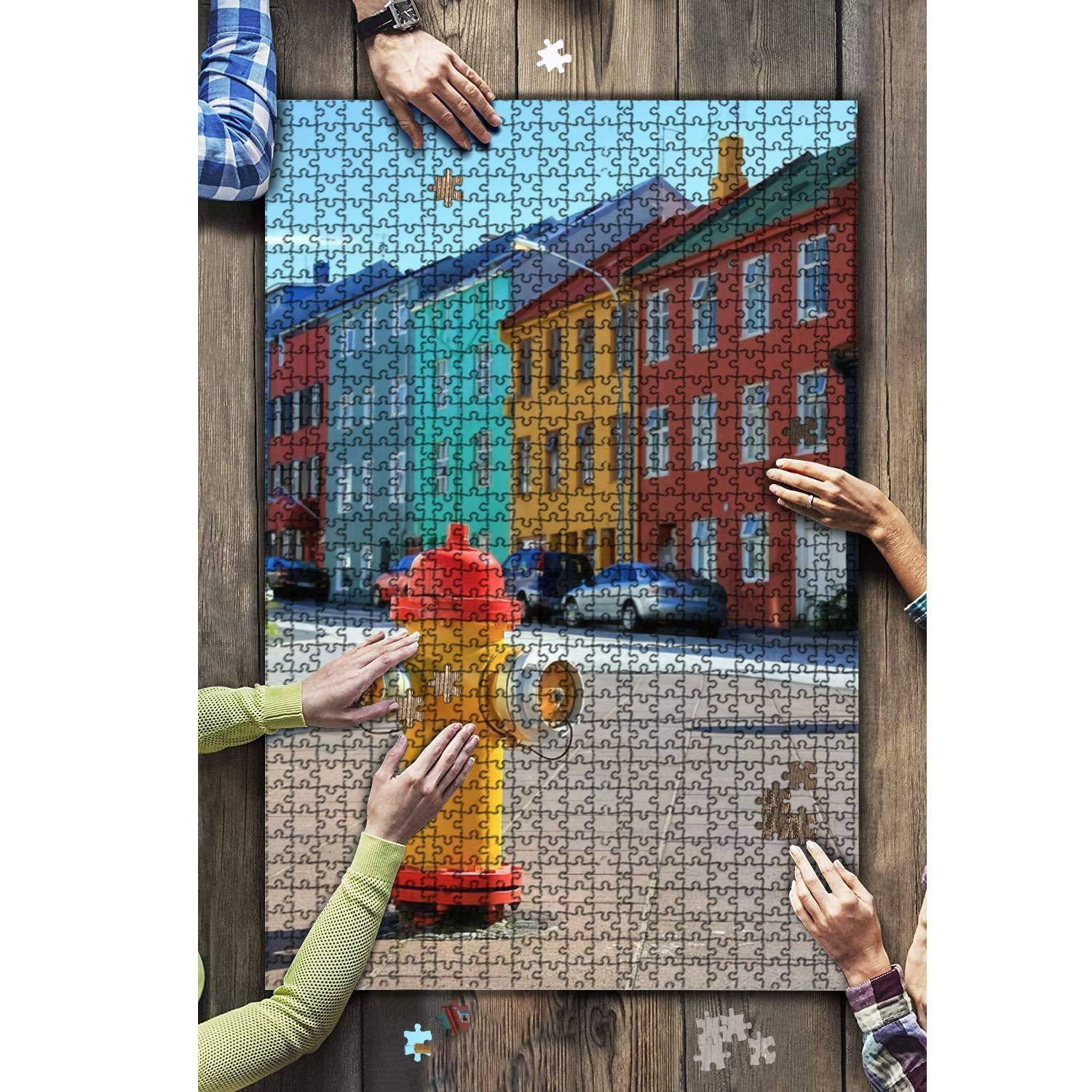 QBHPVLAZFMQ 1000 Pieces Wooden Jigsaw Puzzle Reykjavik Iceland Fun and Challenging Board Puzzles for Adult Kids Large DIY Educational Game Toys Gift Home Decor