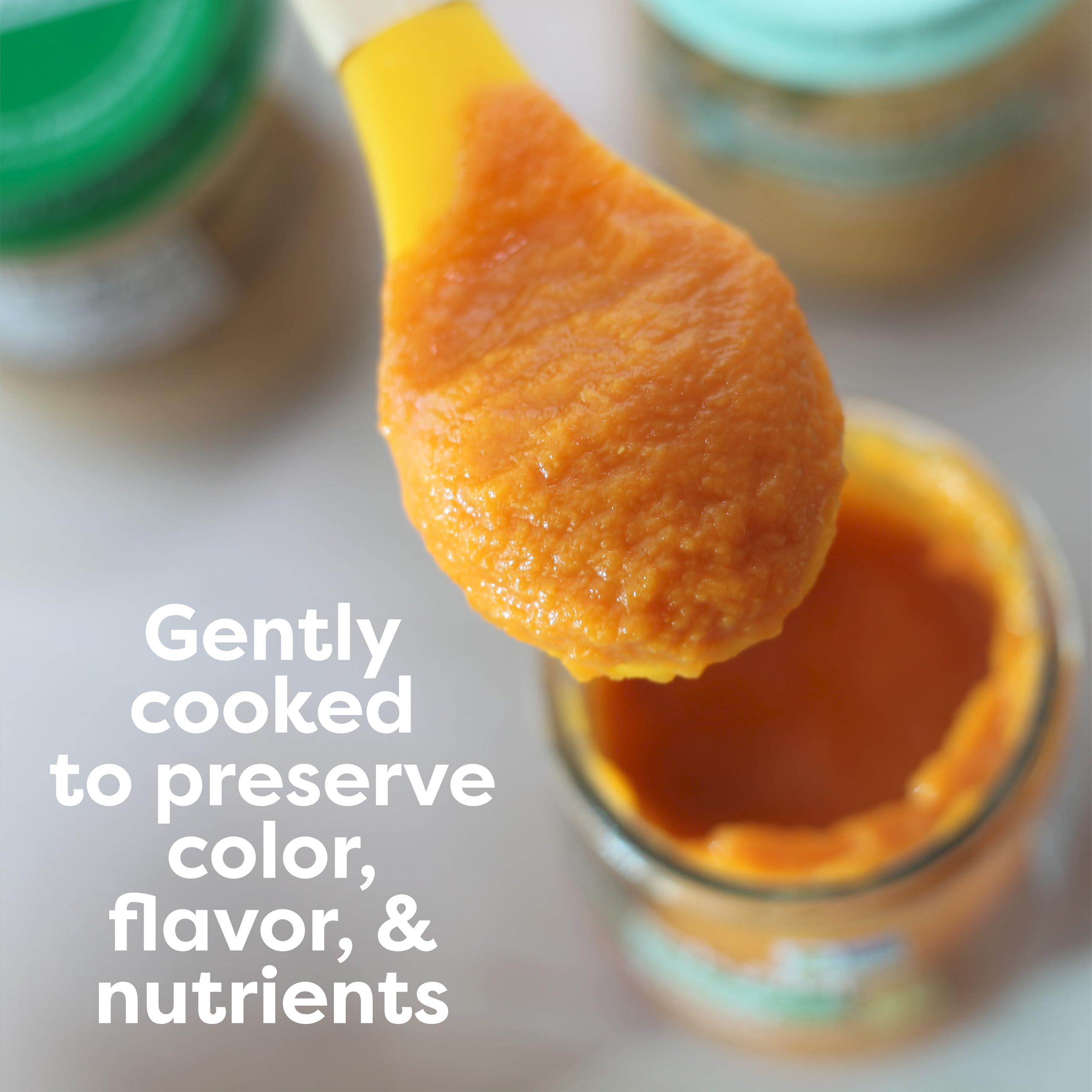 Beech-Nut Beech-Nut Organic Fruit & Yogurt Baby Food Jars with Prebiotics, Organic Banana Berry & Yogurt Puree, Stage 2 Baby Food for Babies 6 Months and Up, Non-GMO, 4oz Glass Jars, 10ct