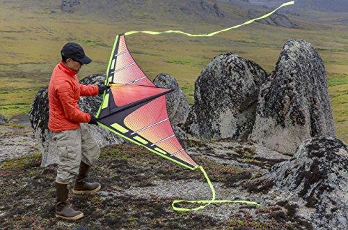 Prism Kite Technology Prism Kite Technology 5ZENY Zenith 5 Single Line Delta Kite, Infrared