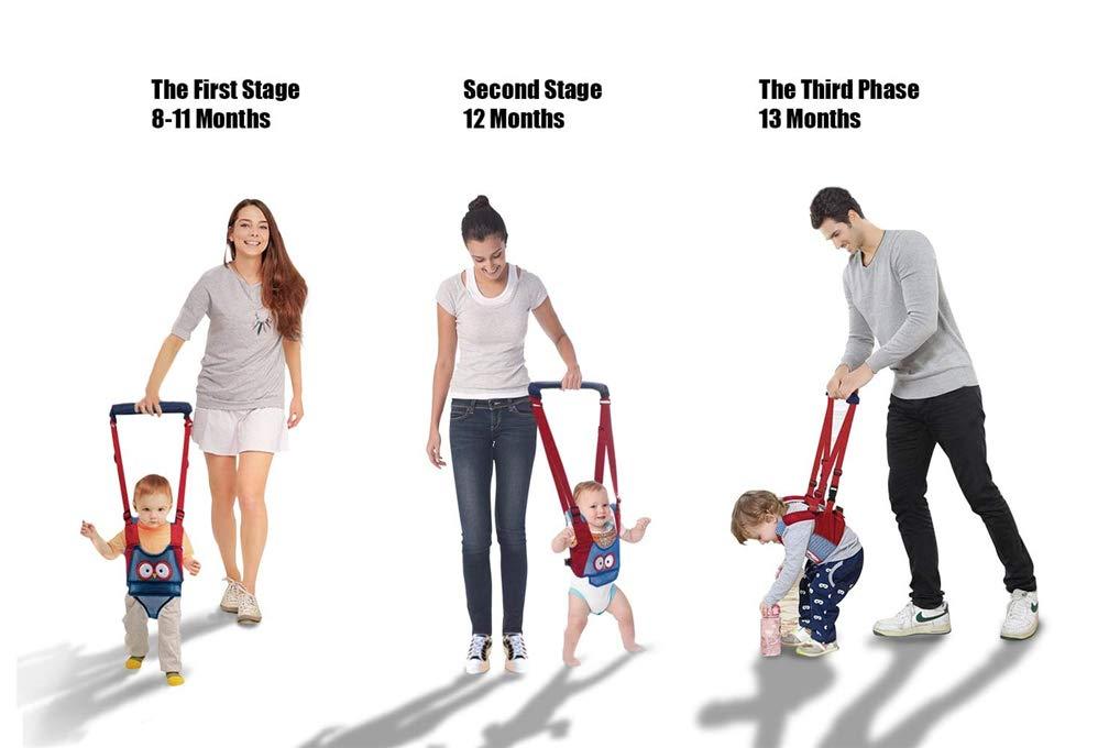 XEMZ Baby Walking Harness for Kids, Adjustable Handheld Baby Walker Safety Stand and Walk Baby Walking Helper, Pulling and Lifting Dual Use Infant Toddler Walking Assistant, for 6+ Months Baby (light blue)