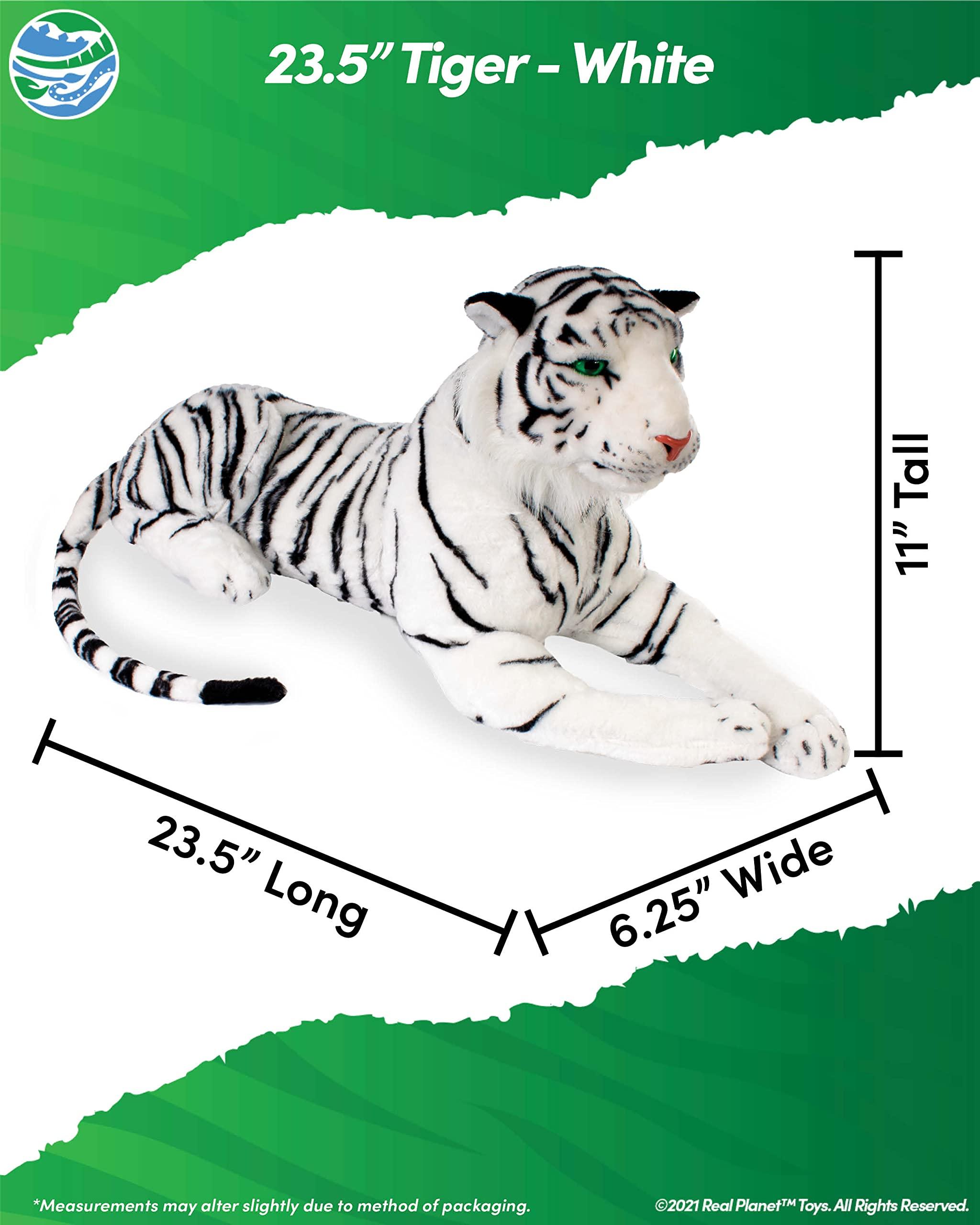 Pat's Flash Cards 200 Beginning Phonics Flash Cards - CVC and CVCC Short Vowel Word Cards