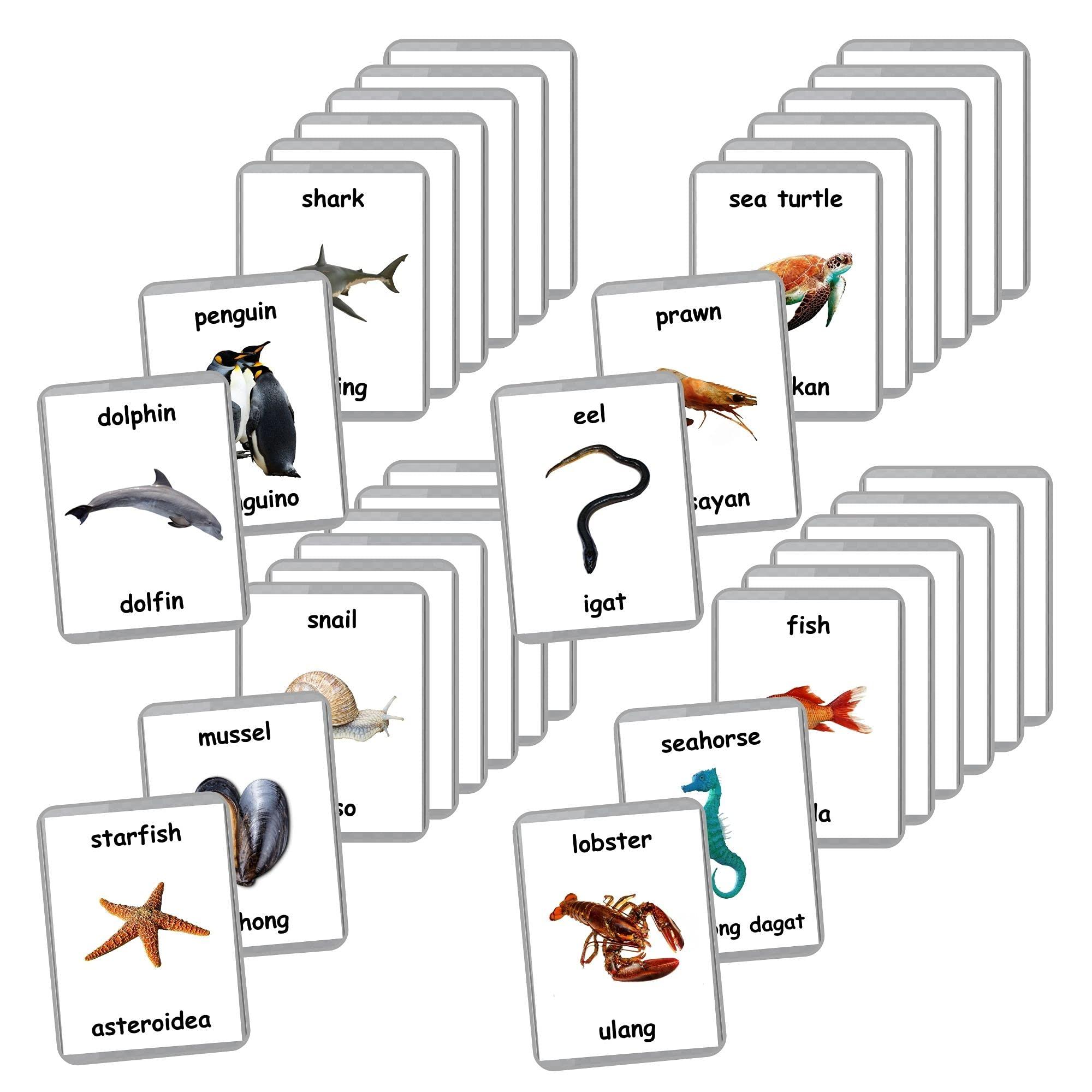 Generic Sea Animals Flash Cards - 26 Laminated Flashcards | Ocean Animals | Water Animals | Homeschool | Multilingual Flash Cards | Bilingual Flashcards - Choose Your Language (Filipino + English)