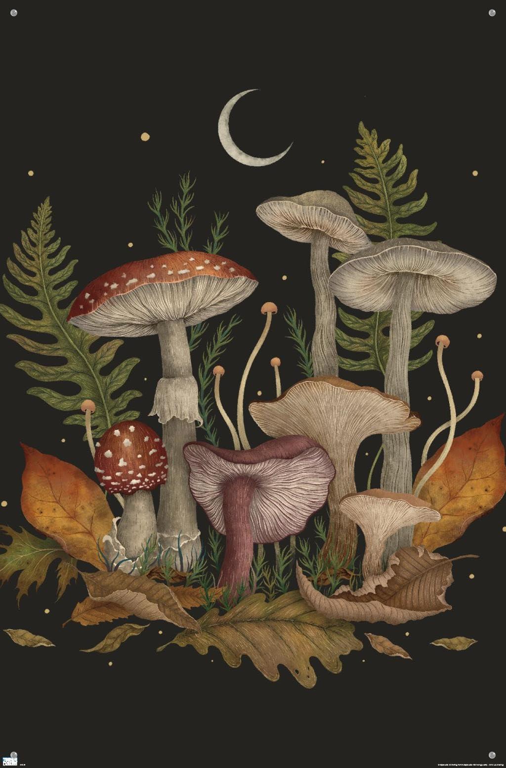 Trends International Trends International Episodic Drawing - Autumn Mushrooms Wall Poster, 22.37\" x 34.00\", Premium Poster & Push Pin Bundle