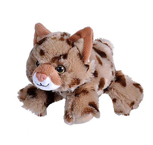 Bobcat stuffed on sale animal