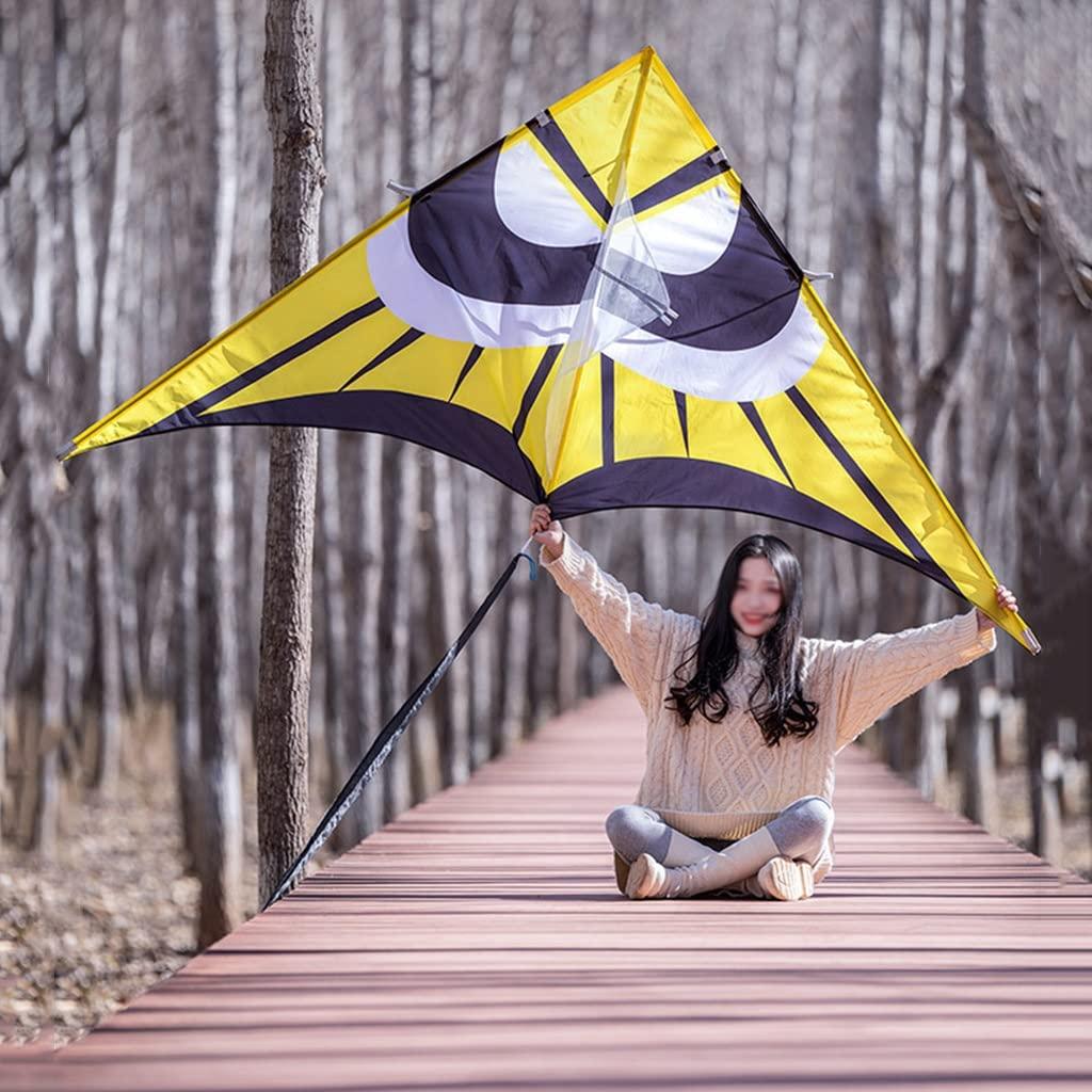 XLTTY Kites Giant Beach Kites for Adults, Easy to Fly Single-line Beach Kites, Easy to Assemble, Best Kite for Beginner (Size : 2.5m+500m line)