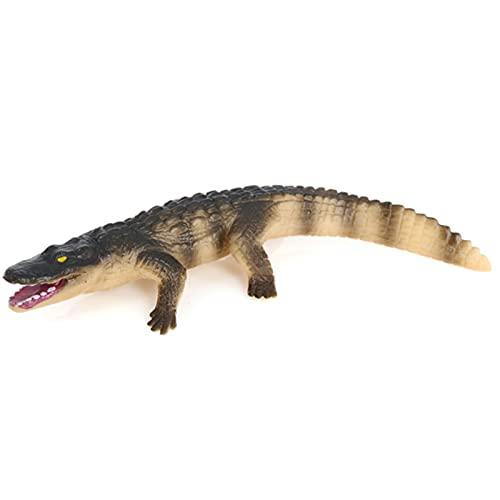Hvogvok Crocodile Growth Cycle, Animal Growth Cycle Biological Model Toy Growth Stage Lifelike Crocodile Life Cycle Model Set for Kids Education Insect Themed Party Favors