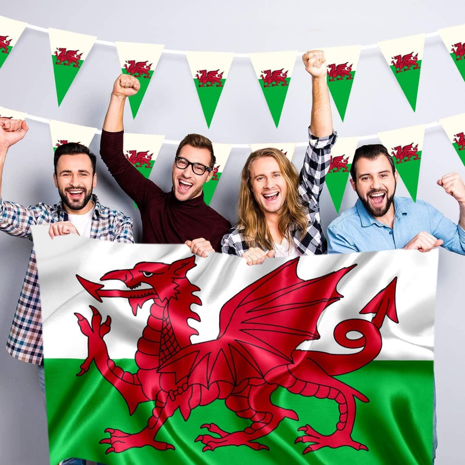 Shatchi 10m Welsh Triangle Bunting Banner Triangle Flags St Georges Day Euro Cricket Rugby Football World Cup Sports Events Street Party Decoration.