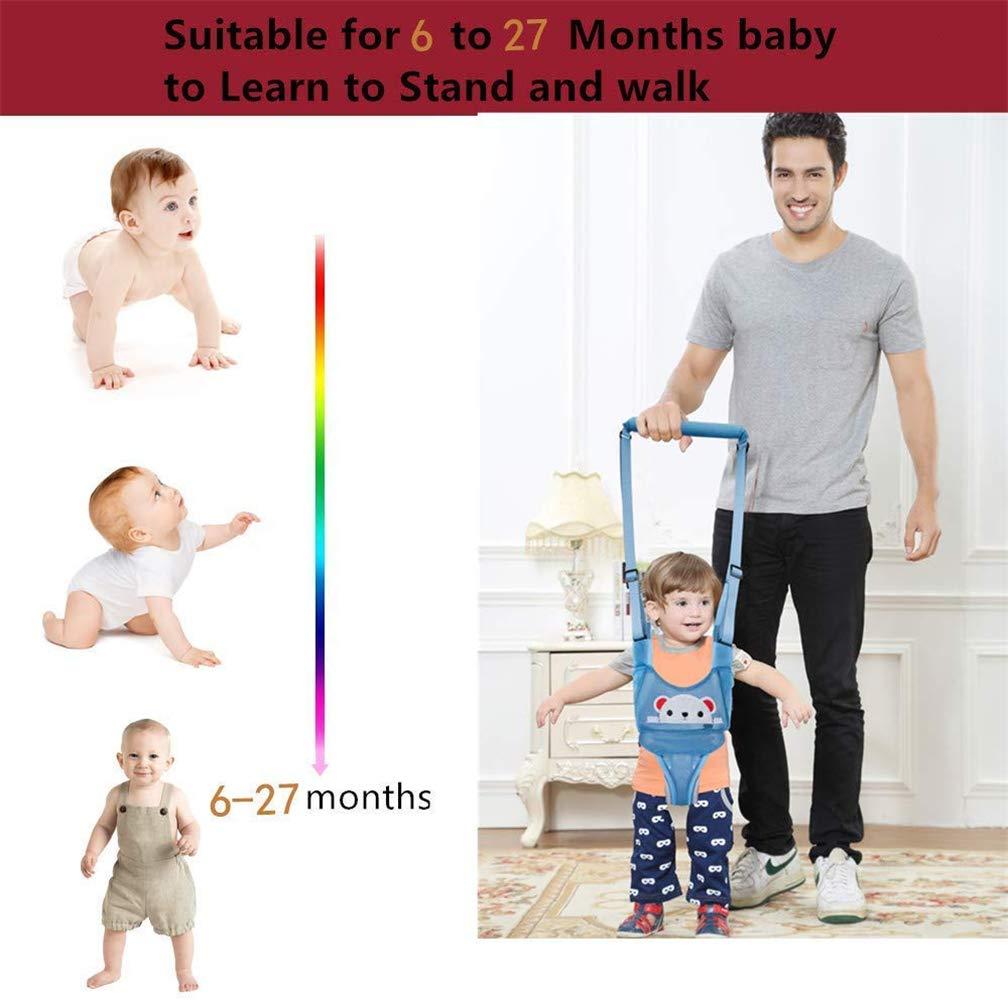 XEMZ Baby Walking Harness for Kids, Adjustable Handheld Baby Walker Safety Stand and Walk Baby Walking Helper, Pulling and Lifting Dual Use Infant Toddler Walking Assistant, for 6+ Months Baby (light blue)