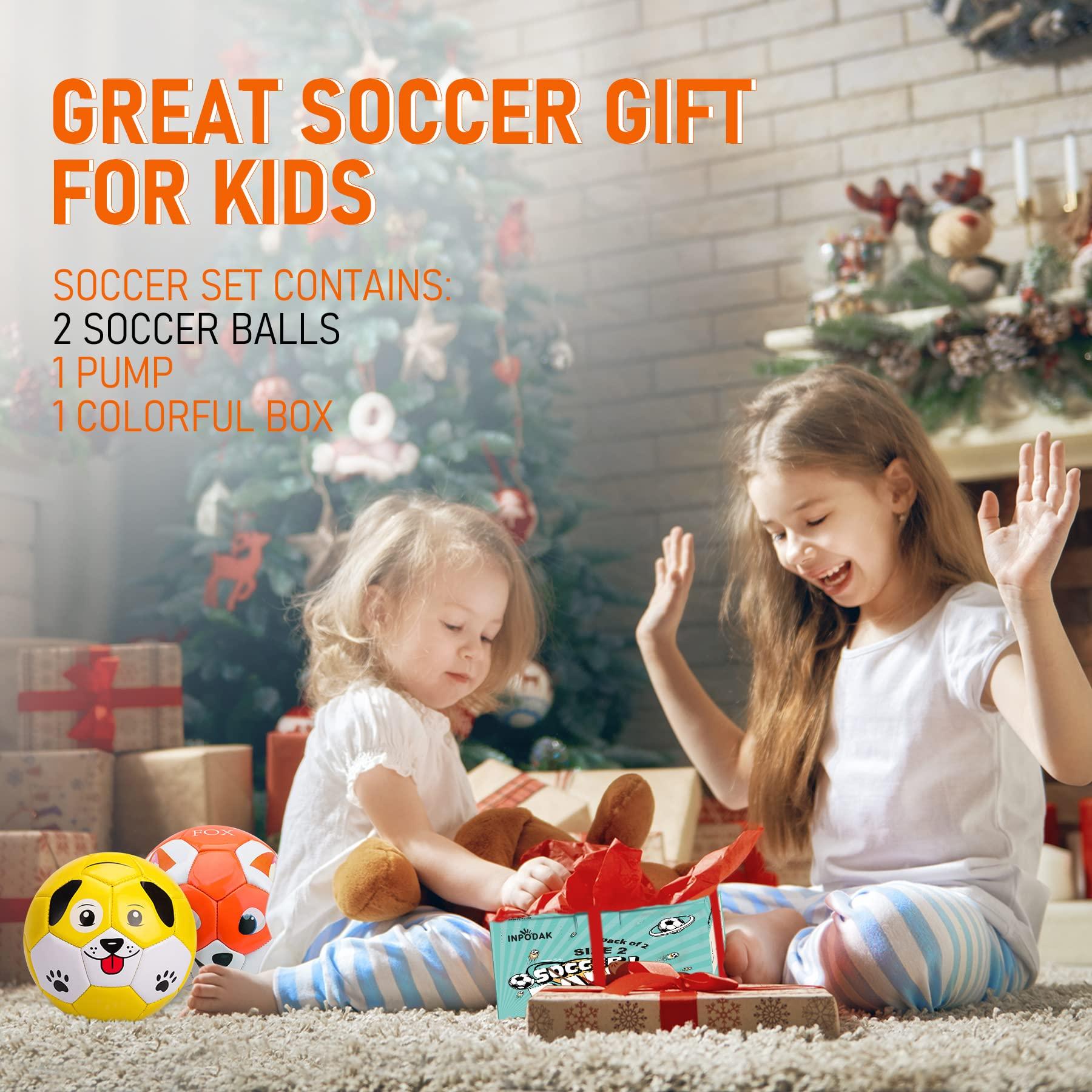 INPODAK INPODAK 2 Pack Toddler Soccer Ball Size 2 Cartoon Balls for Kids 2 3 4 5 6 with Pump, Mesh Bag and Gift Box for Birthdays, Christmas, and Parties