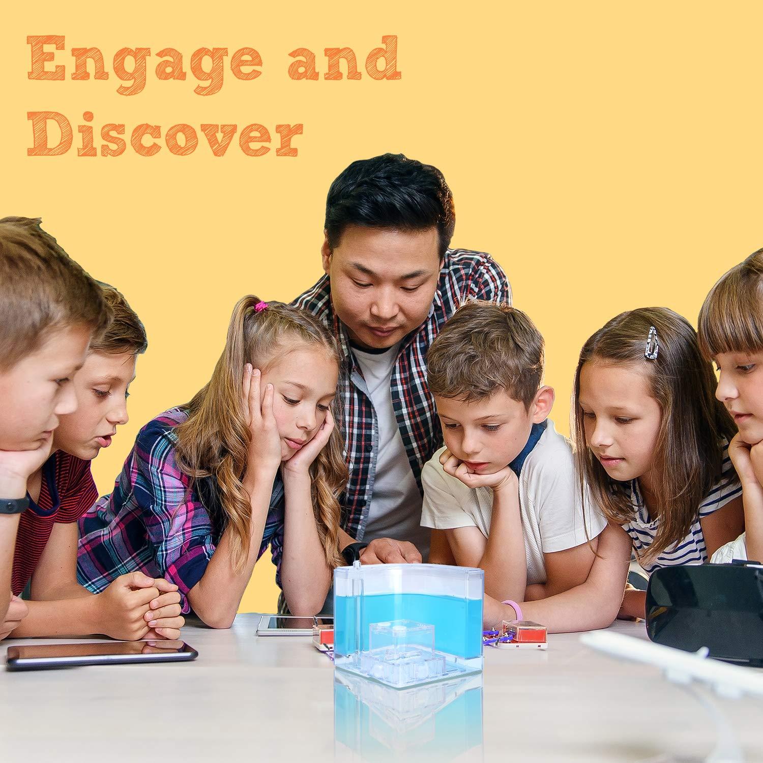 NAVADEAL NAVADEAL Ant Farm Castle Experiment and Toy Allows Study of Social Structure, Architecture, Ecosystem, and The Behavior of Ants Within The 3D Maze of Translucent Gel