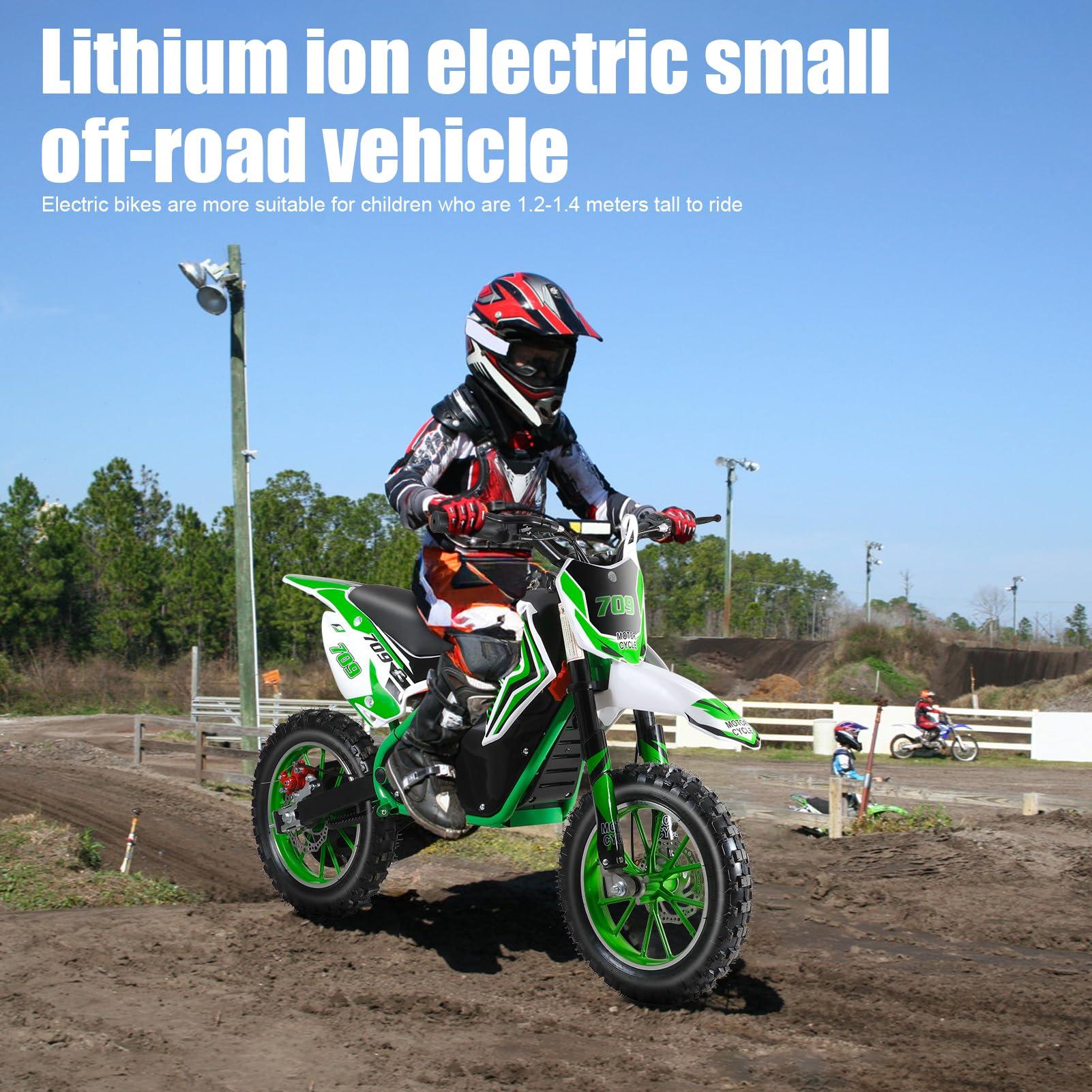 pofluany Kids Electric Dirt Bike - 2024 Upgraded Motorcycle [Max 18MPH], 350W Powerful Motor, Strong Frame for Summer Fun (Green)