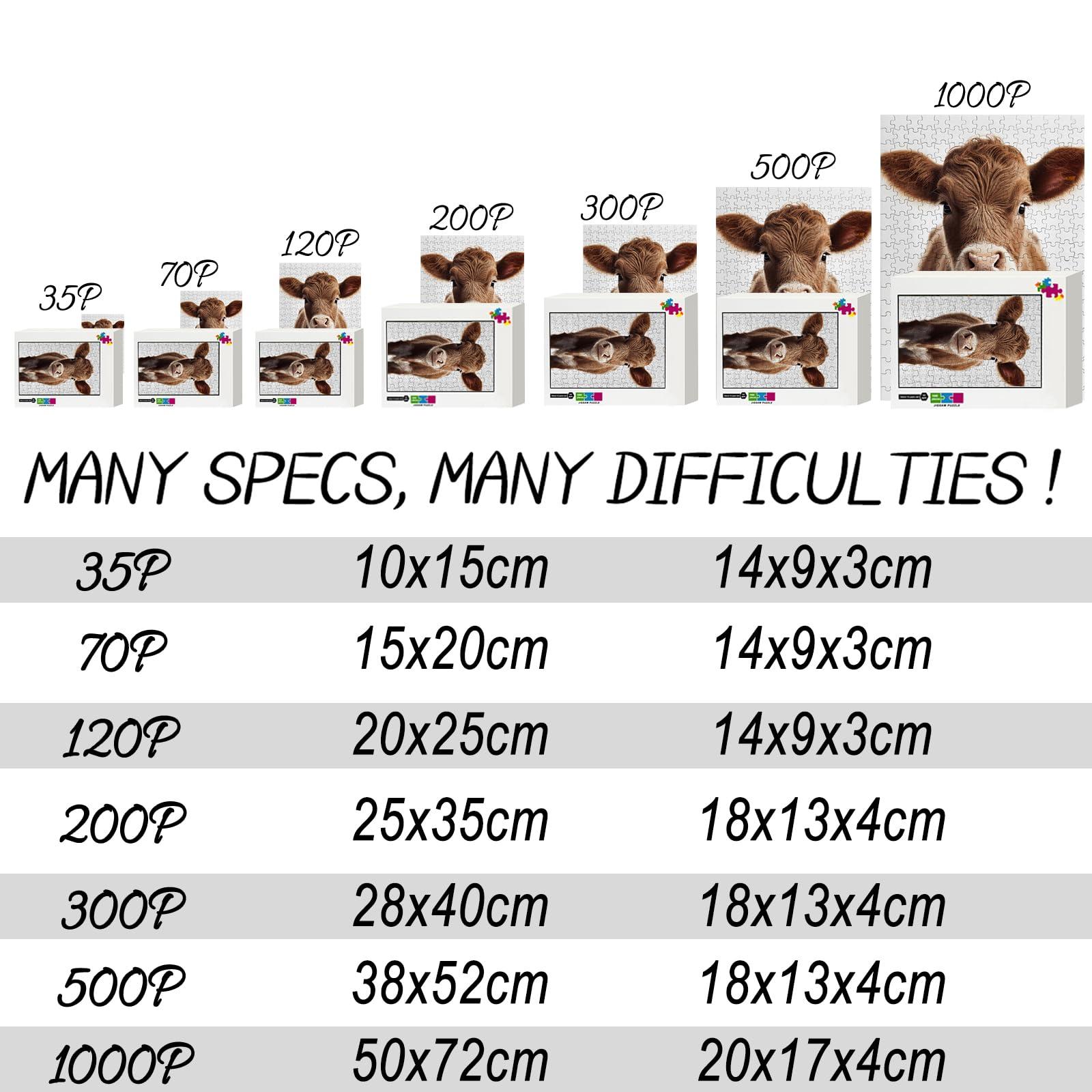 Grey Fox Games Last Light: Infinity Expansion | Strategy Board Game | Space Exploration | 2 to 8 Players | Ages 14+ | 60+ Minutes