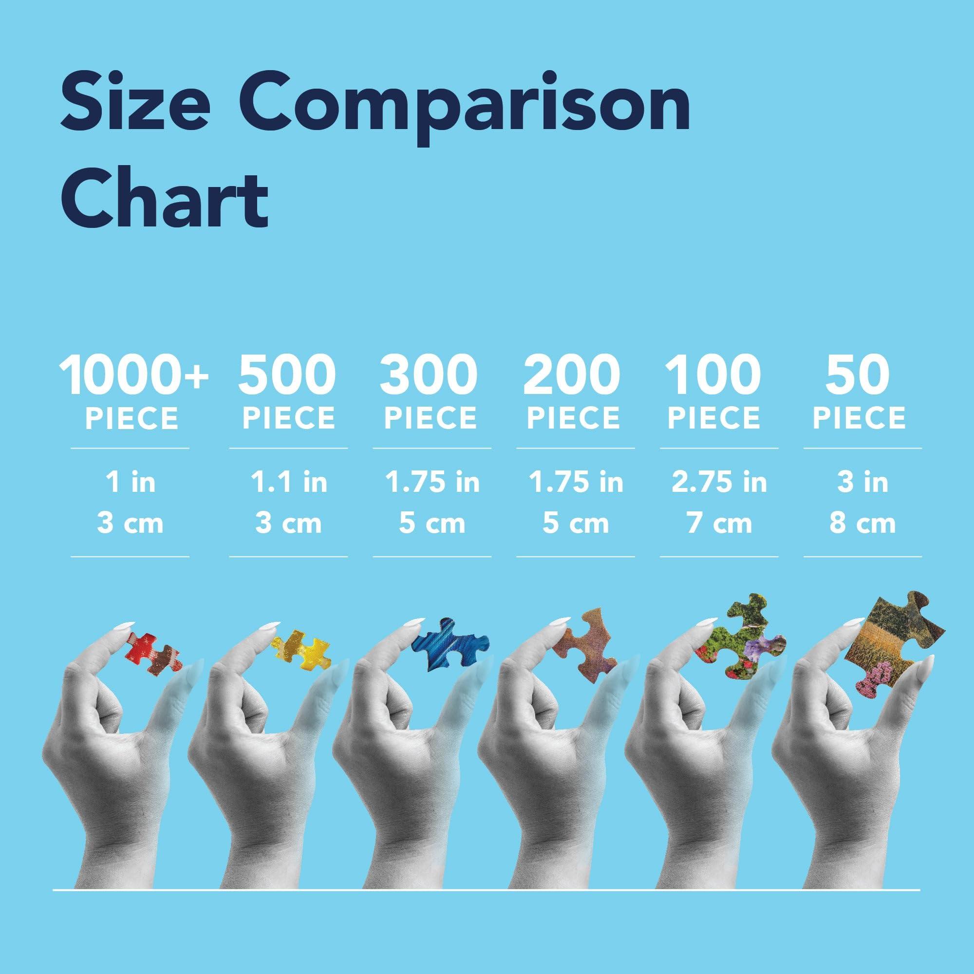 Bits and Pieces Bits and Pieces - Value Set of Three (3) - 100 Piece Jigsaw Puzzles for Seniors - Lettered Large Piece 100 pc Nature Jigsaws Bundle - 15 x 19 Each