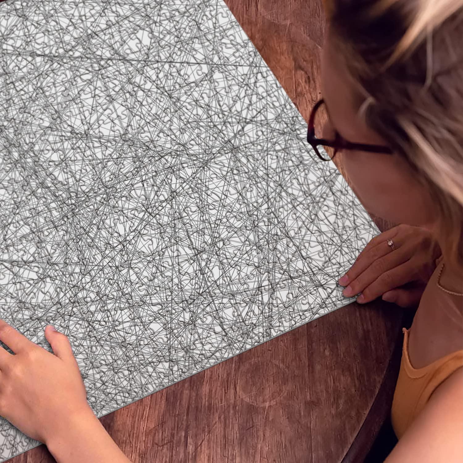 BBOLDIN Hard Puzzles for Adults 1000 Pieces, Impossible Difficult Line Puzzle, Challenging Jigsaw Puzzles for Adults 1000 Pieces and Up