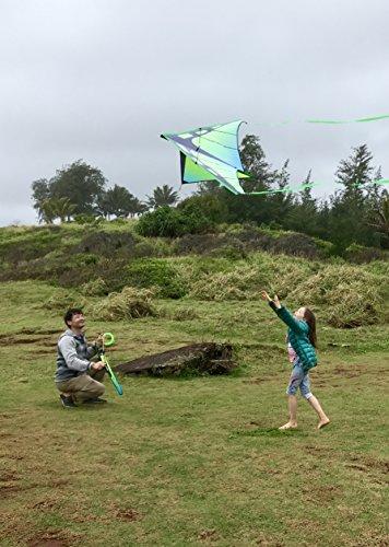 Prism Kite Technology Prism Kite Technology 5ZENY Zenith 5 Single Line Delta Kite, Infrared