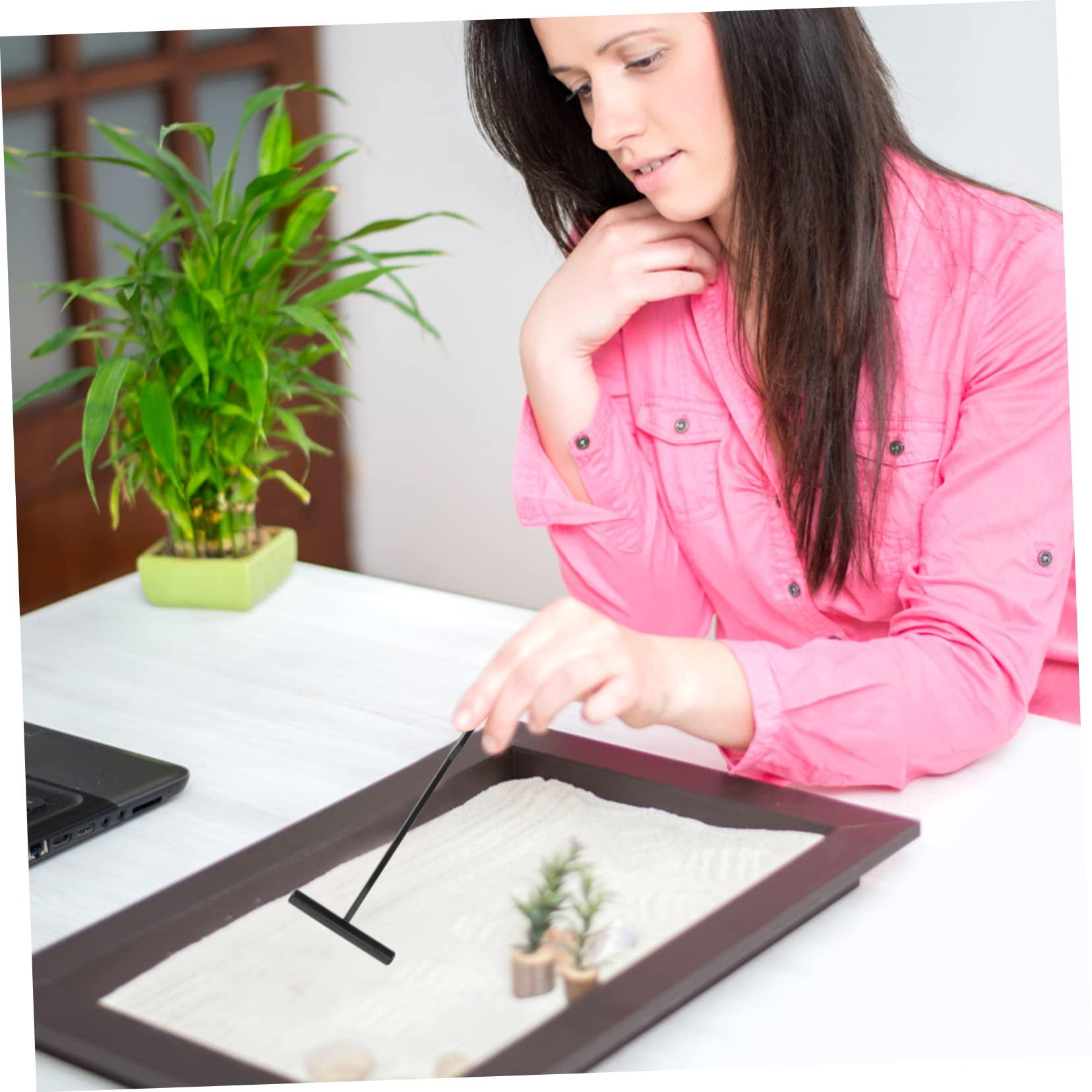 Happyyami Happyyami 36 Pcs Sand Rake Mini Zen Garden Rake Tool Mini Zen Garden for Desk Beach Rake for Sand Zen Garden Tools Mini Sand Tray Miniature Kit Sand Push Rake Plastic Pearlescent Toy Room