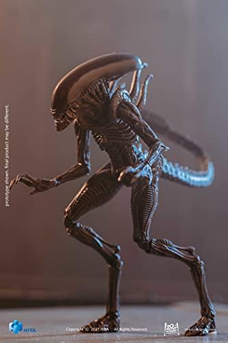 Hiya Toys Hiya Toys Alien: Resurrection Lead Alien Warrior 1:18 Scale Action Figure, Multicolor
