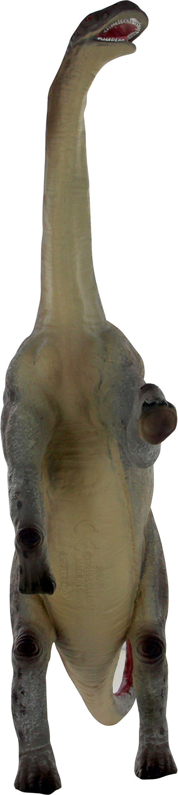 Collecta Collecta Prehistoric Life Jobaria Deluxe (1:40 Scale) Vinyl Toy Dinosaur Figure, 9.1"L x 11.6"H