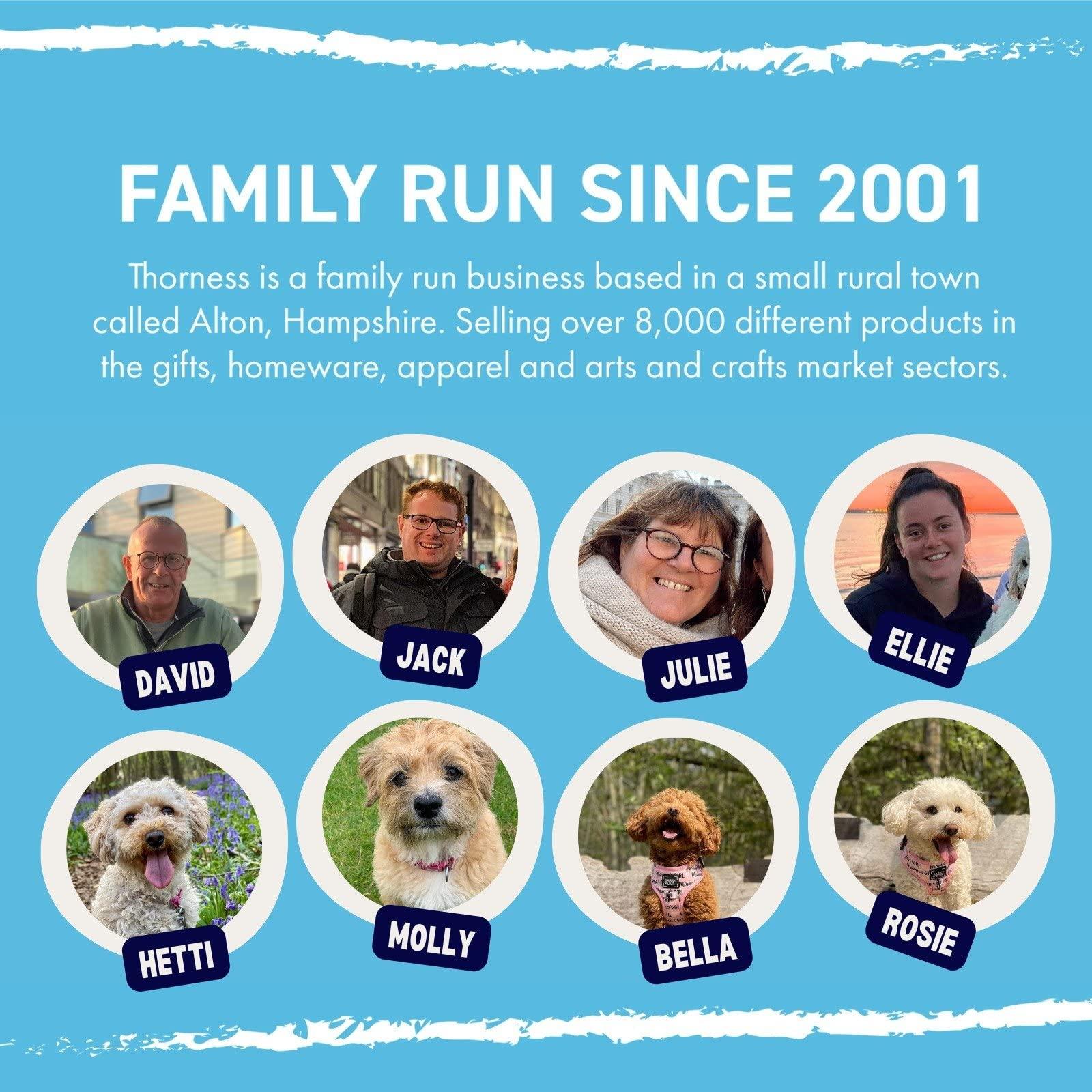 Thorness 30cm Diameter WOODEN SOLITAIRE BOARD GAME with JELLYFISH GLASS MARBLES | classic wooden solitaire game | strategy board game | family board game | games for one | board games