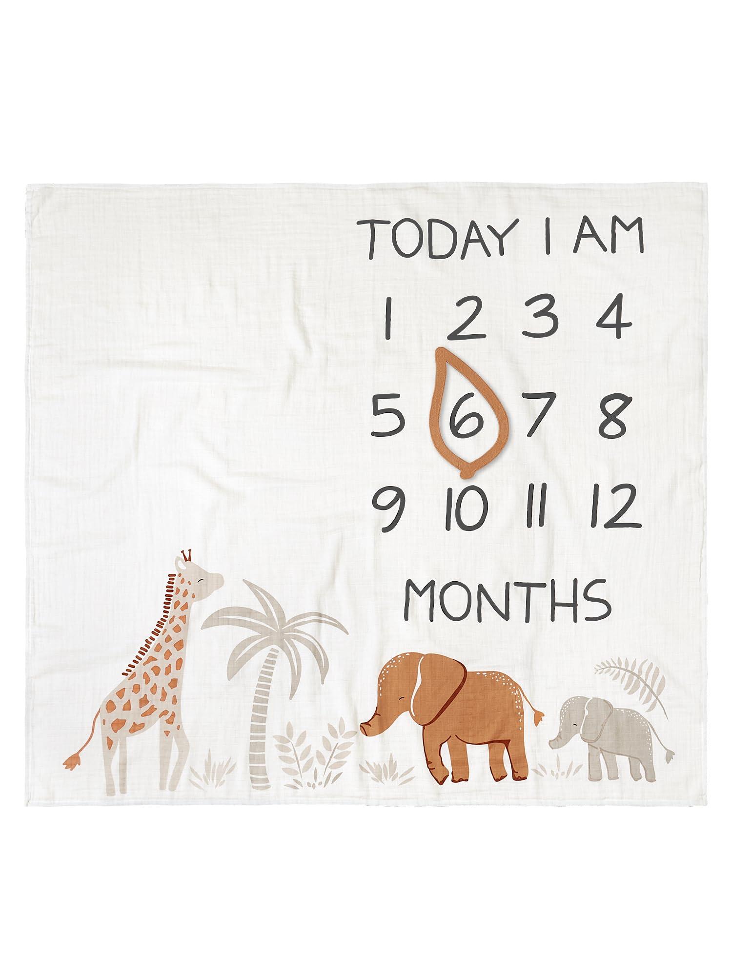 Modern Moments by Gerber Modern Moments by Gerber Muslin Milestone Blanket with Felt Month Marker Frame