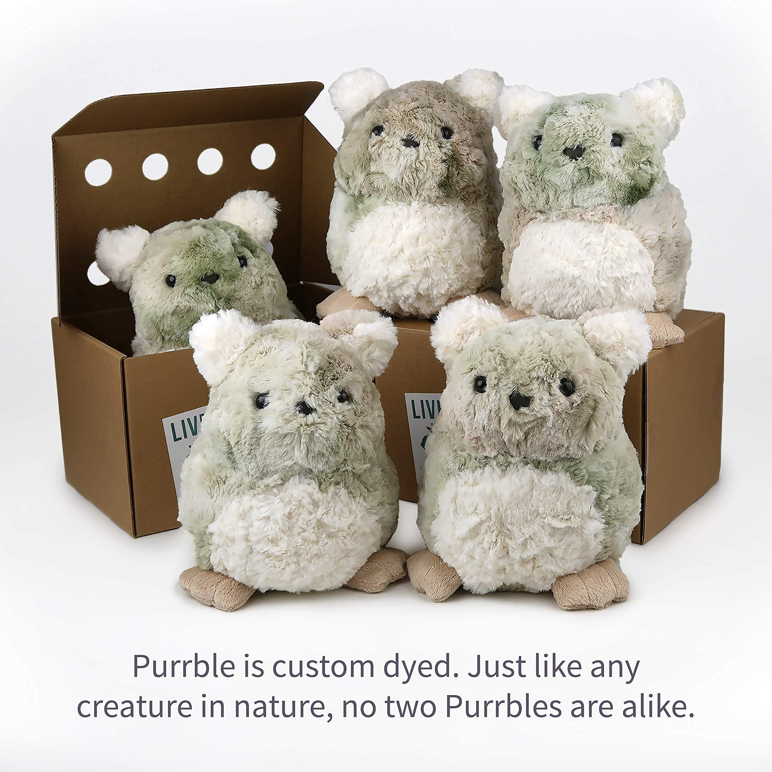 Purrble Purrble - Calming Toy Companion with Dynamic Heartbeat and Soothing Purr - Interactive Plush Companion for All Ages - Stuffed Animal Doll for Emotion Regulation - Cuddle and Pet Plushies