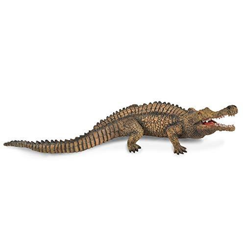 CollectA Prehistoric Life Sarcosuchus Toy Dinosaur Figure - Authentic Hand Painted & Paleontologist Approved Model, 7.3"L x 2"H image-1