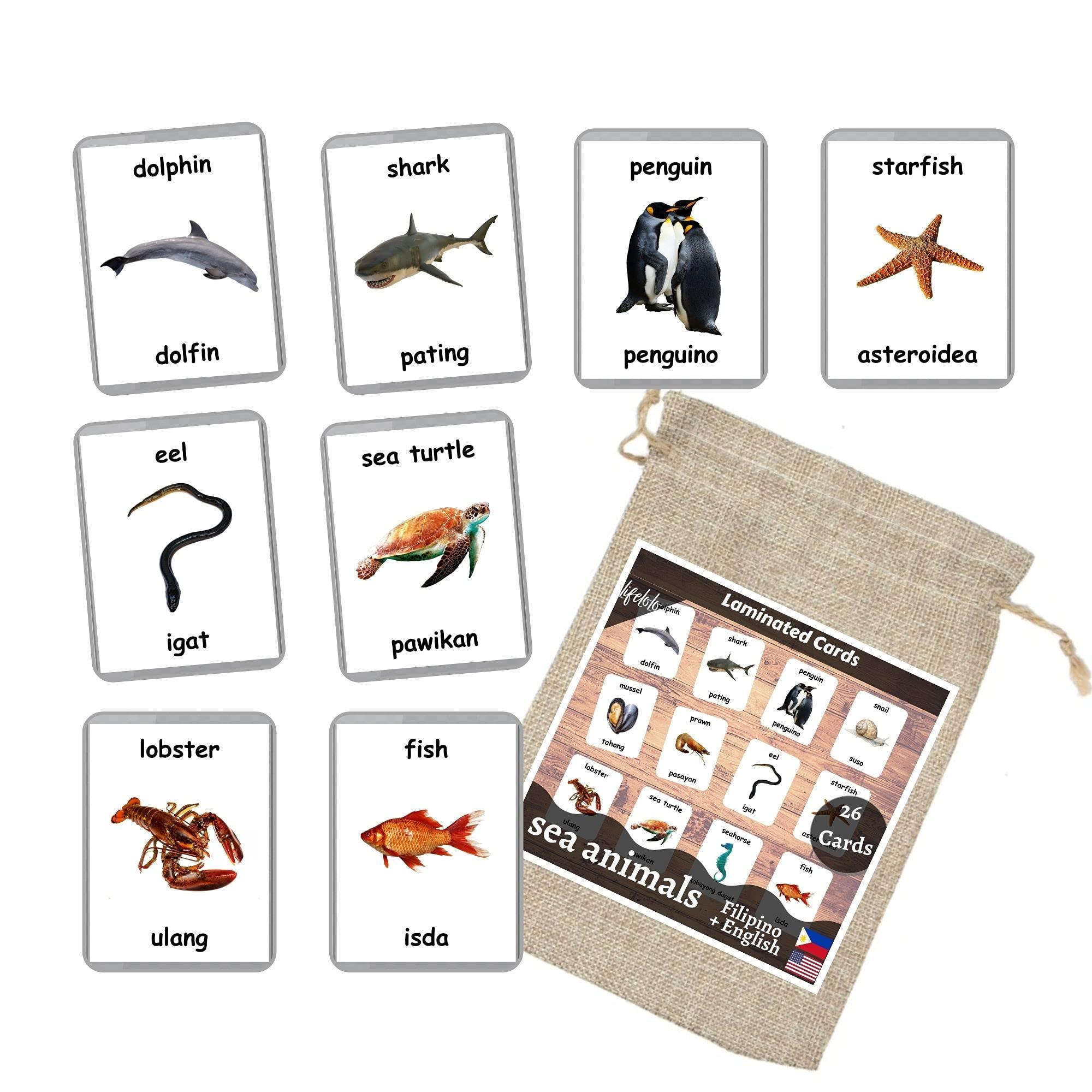 Generic Sea Animals Flash Cards - 26 Laminated Flashcards | Ocean Animals | Water Animals | Homeschool | Multilingual Flash Cards | Bilingual Flashcards - Choose Your Language (Filipino + English)
