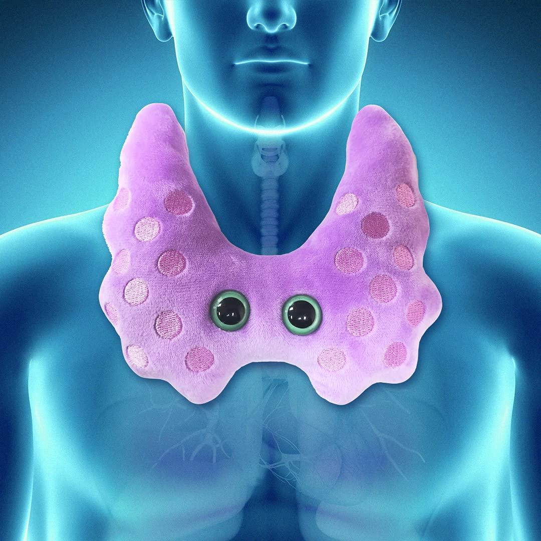 GIANT MICROBES GIANTmicrobes Thyroid Plush, Thyroid Stuffed Animal, Thyroid Surgery Recovery Gifts, Lupus Gifts, Thyroid Cancer Awareness, Endocrinologist Gift, Endocrinology Gift, Thyroidectomy, Hypothyroid Gift
