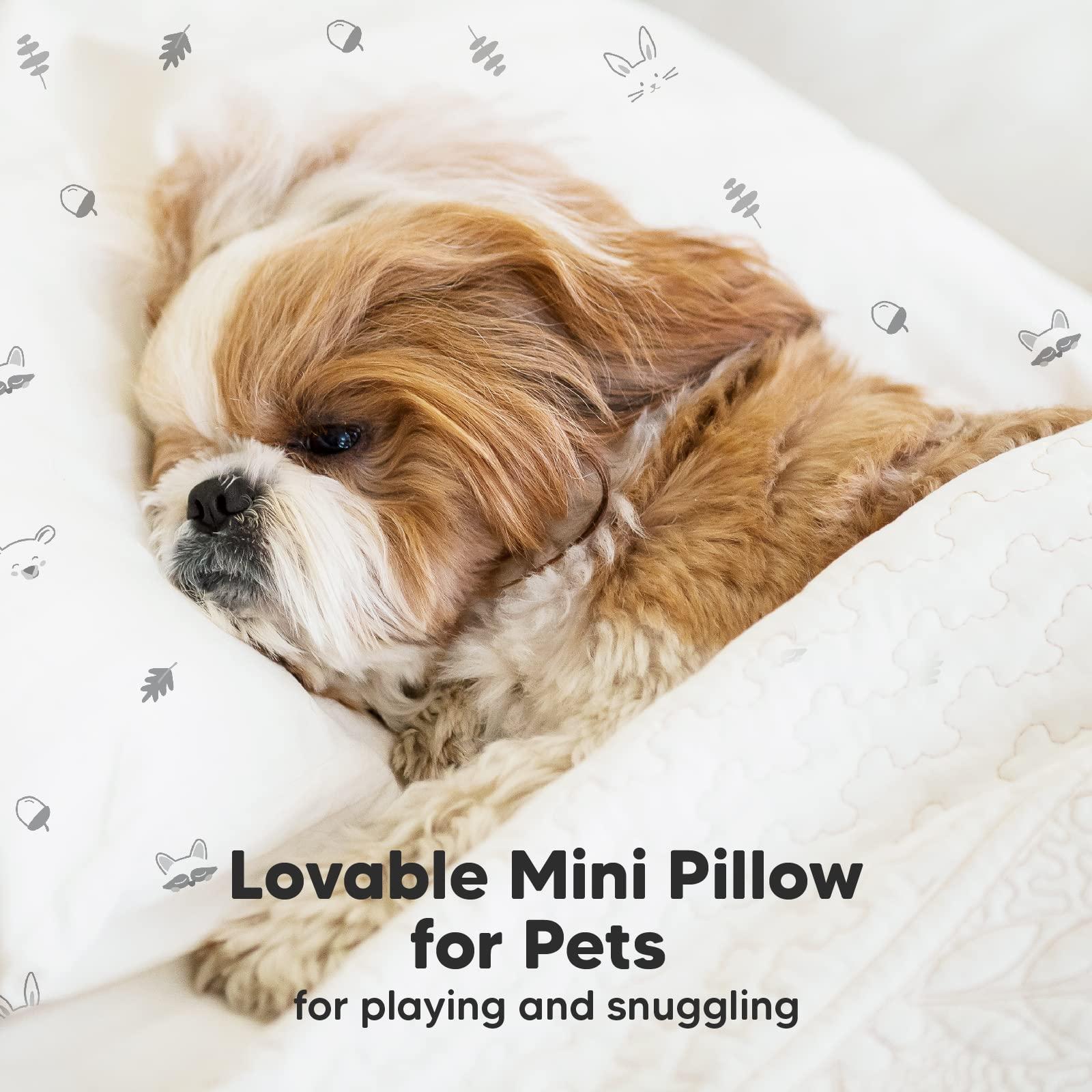 KeaBabies Mini Toddler Pillow with Pillowcase - 9x13 My Little Dreamy Mini Pillow, Organic Toddler Pillows for Sleeping, Kids Pillow, Small Pillows, Travel Pillows for Sleeping, Toddler Bed Pillows (Acorn)