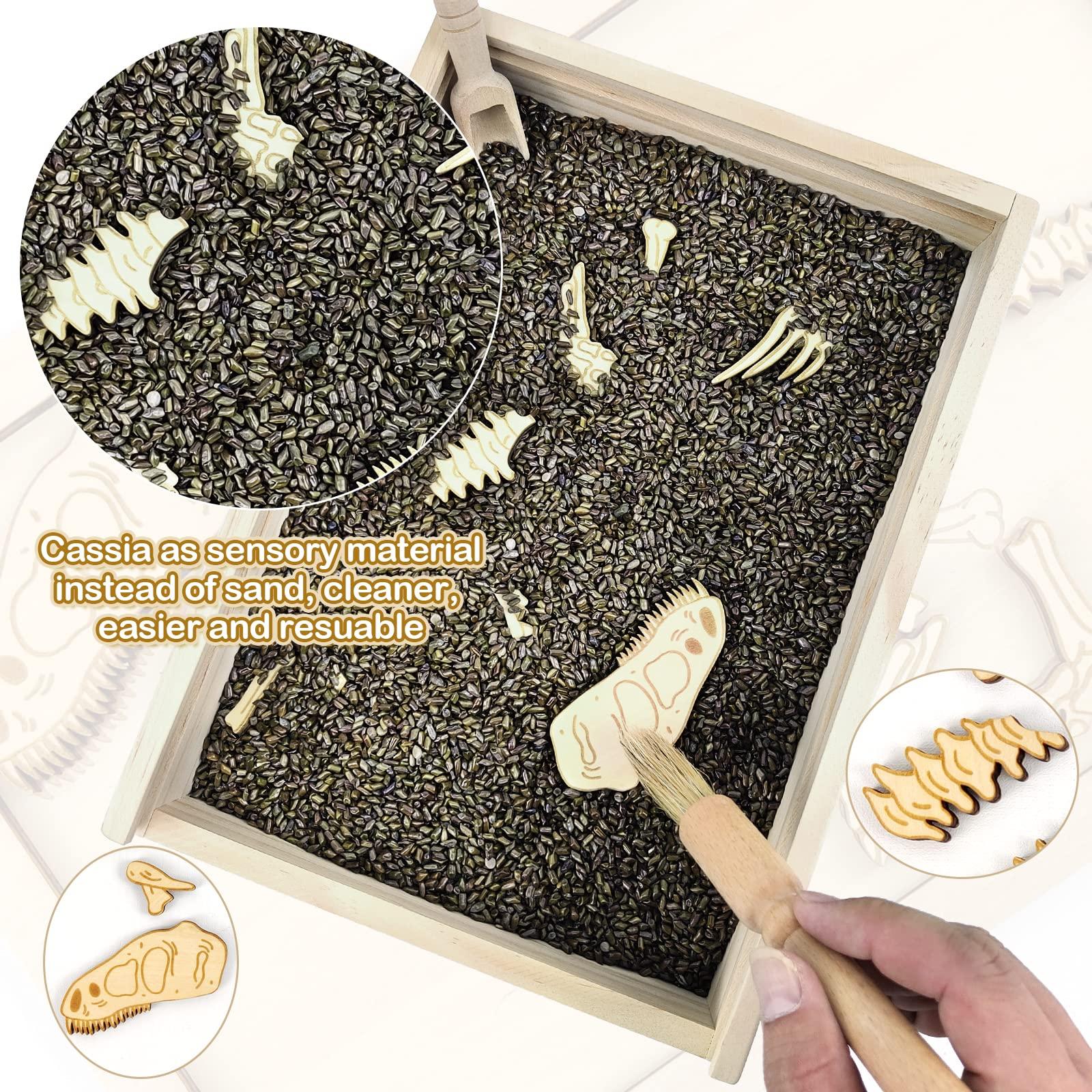 Xylolin Xylolin Dinosaur Excavation Archaeology Dig Kit for Kids, Fossil Explore Sensory Bin Toys, Dino Skeletons Bones Puzzle Game, Archaeology Science STEM Toys for Boys and Girls (Tyrannosaurus)