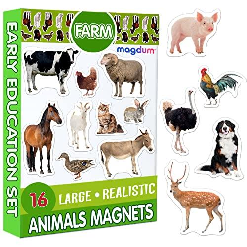 magdum 16 Fridge Magnets for Toddlers Magdum - Farm Photo Kids Magnets for Fridge - Toddler Magnets for Refrigerator - Magnetic Animals - Fridge Magnets for Kids - Animal Magnets - Toddler Fridge Magnets