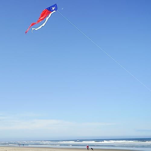 In the Breeze In the Breeze 3357 Texas 77\" Wave Delta Kite Easy Flying Single Line Large Ripstop and Taffeta Kite