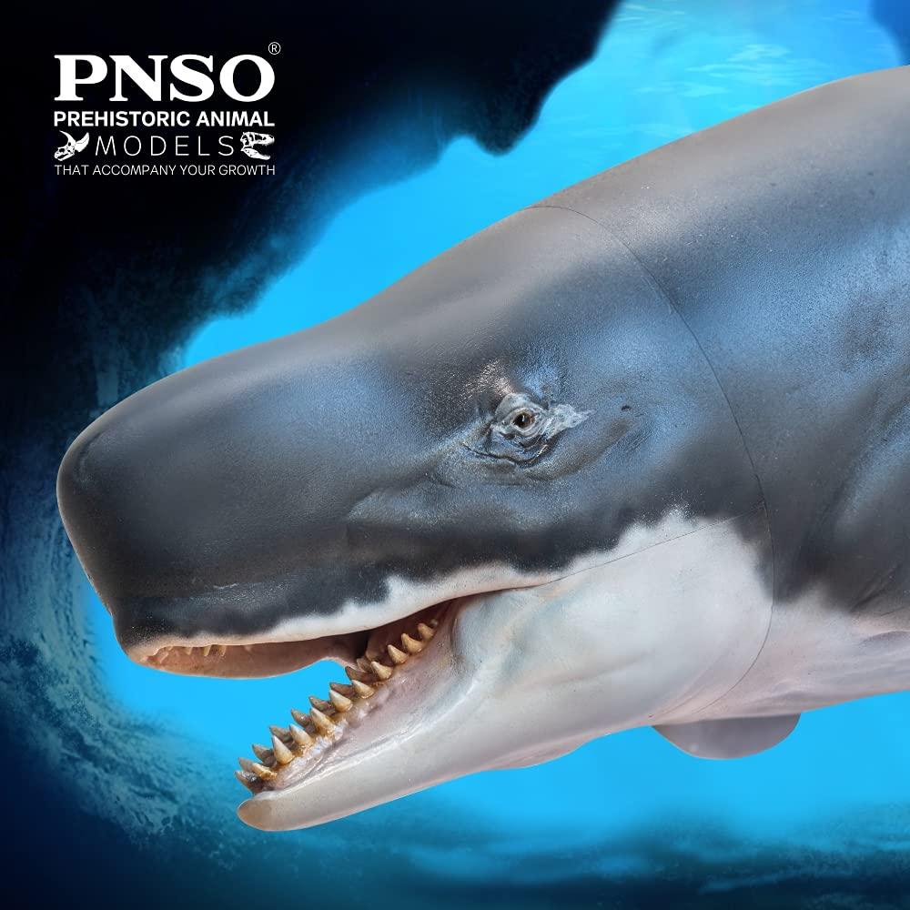 PNSO PNSO Prehistoric Animal Models: 56Requena The Livyatan